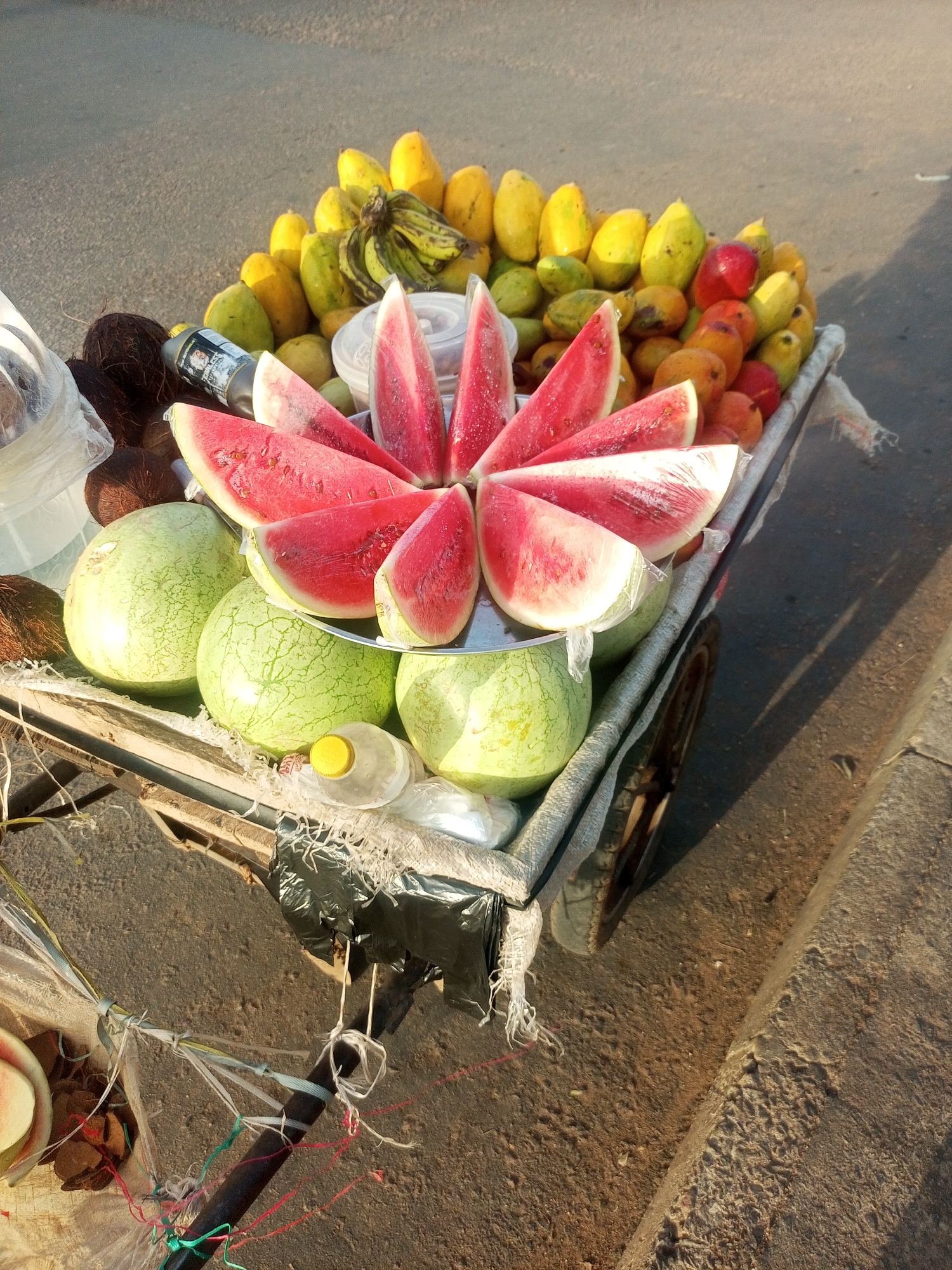 This image captures a vibrant fruit vendor's cart, likely situated on a street or pathway in Gombe, Nigeria. The mobile cart is laden with a colorful variety of fresh produce, meticulously arranged for sale under bright sunlight.
In the foreground, several large, whole watermelons with distinct light green, striped rinds are displayed. Above these, a prominent circular arrangement of bright red watermelon slices is fanned out on a metallic tray, with some slices individually wrapped in clear plastic.
Behind the watermelon display, a substantial pile of yellow and green fruits, identifiable as ripe and unripe mangoes or papayas, forms a colorful backdrop. A bunch of bananas, showing both green and yellow tones, is nestled within this pile. To the left side of the cart, several dark brown coconuts are visible near a white plastic bag. A small plastic bottle with a yellow cap and some clear plastic containers are also present on the cart, alongside a dark bottle with an unreadable label.
The cart itself appears to be a simple, functional structure, covered with a textured fabric or sacking material, resting on wheels (one partially visible). No people are in the frame. Long, distinct shadows are cast on the concrete ground to the right, indicating a sunny day, likely during the early morning or late afternoon. The ground surface shows a transition from a rough, unpaved area to a concrete curb or sidewalk. Various strings and plastic materials are tied to and draped around the lower parts of the cart, typical of informal street vending setups. The fresh and diverse fruit selection suggests a healthy, accessible food option for passersby.