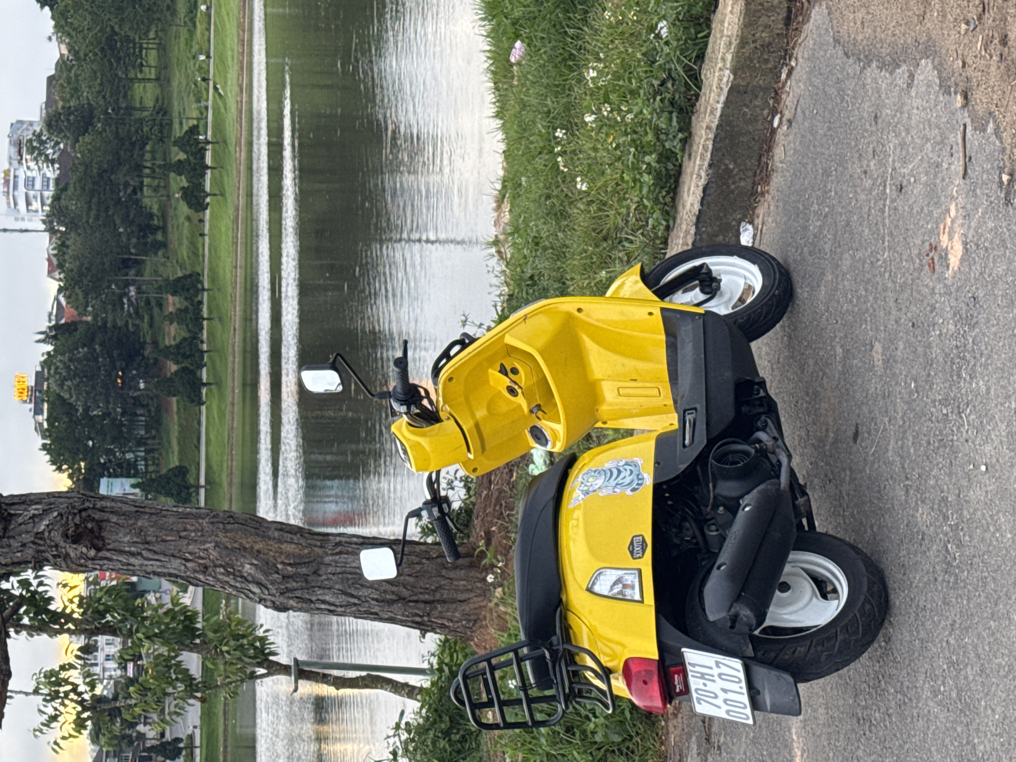 A yellow scooter is parked on the side of a road next to Xuân Hương Lake in Đà Lạt, Vietnam. The scooter is facing left and is the primary subject of the image. The background shows the lake, a grassy embankment with trees, and buildings in the distance. The sky is overcast, suggesting it is late afternoon or early morning. There are no people visible in the immediate vicinity of the scooter, though a few distant figures can be seen walking along the lake. The scooter has a black seat, a black rack on the back, and a license plate that reads "70-H1 001.07". A sticker of a cartoon cat is on the rear fender. The road is asphalt and appears to be slightly wet in places.