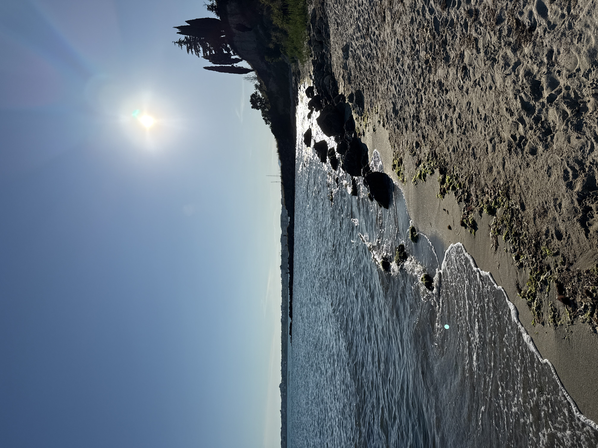 This image depicts a sunlit beach scene on the coast of Nesebar, Bulgaria. The clear blue sky dominates the upper half of the frame, with the bright sun positioned in the upper right quadrant, casting lens flares. In the distance, a faint silhouette of buildings is visible along the horizon. The foreground features a sandy beach with scattered rocks and patches of seaweed. The sea, with gentle waves lapping at the shore, occupies the left side of the image. A line of dark, tall trees stands on a cliff overlooking the beach on the right side. The overall atmosphere is serene and bright, characteristic of a sunny day.