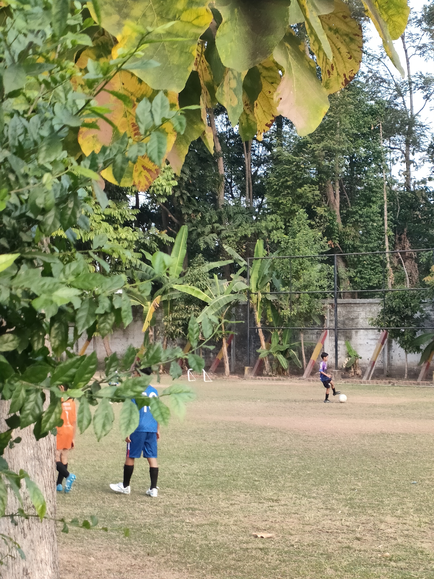 In Banguntapan, Indonesia, a natural setting with lush green foliage framing the foreground, two young boys are engaged in a soccer practice on a grassy field. One boy, dressed in an orange jersey and blue shorts with black socks, stands on the left side of the frame, his posture suggesting he is either receiving a pass or observing the game. The other boy, in a blue jersey and blue shorts with black socks, is further into the field. He is actively playing with a white soccer ball at his feet, looking as though he is about to kick it. The field is enclosed by a fence and a low concrete wall. The background is filled with a dense array of trees and vegetation, creating a sense of seclusion and natural beauty. The scene captures a moment of youthful athleticism in a tranquil, outdoor environment.