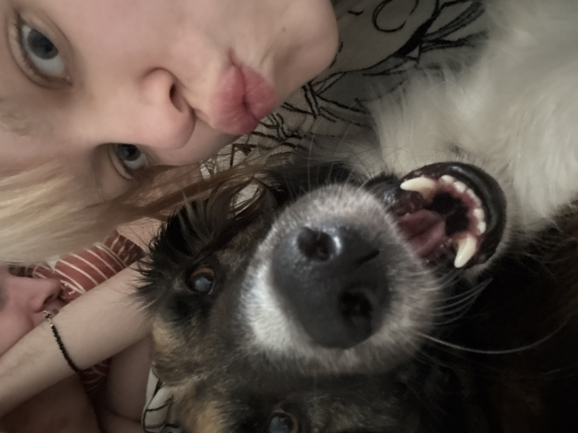 This is a close-up, overhead shot of a person and a dog. The person's face is in the upper left, with their eyes open and their lips pursed in a duck face. Their blonde hair is visible. To the right of the person's face, the dog's face fills most of the frame. The dog's mouth is open, revealing sharp white teeth and a pink tongue and gums. The dog has dark fur with some lighter markings around its snout and eyes. The background appears to be a bed with striped and patterned bedding. The lighting suggests it might be indoors, possibly in a bedroom. The overall mood is playful and intimate, likely a selfie taken by the person with their pet. There is no visible text in the image.