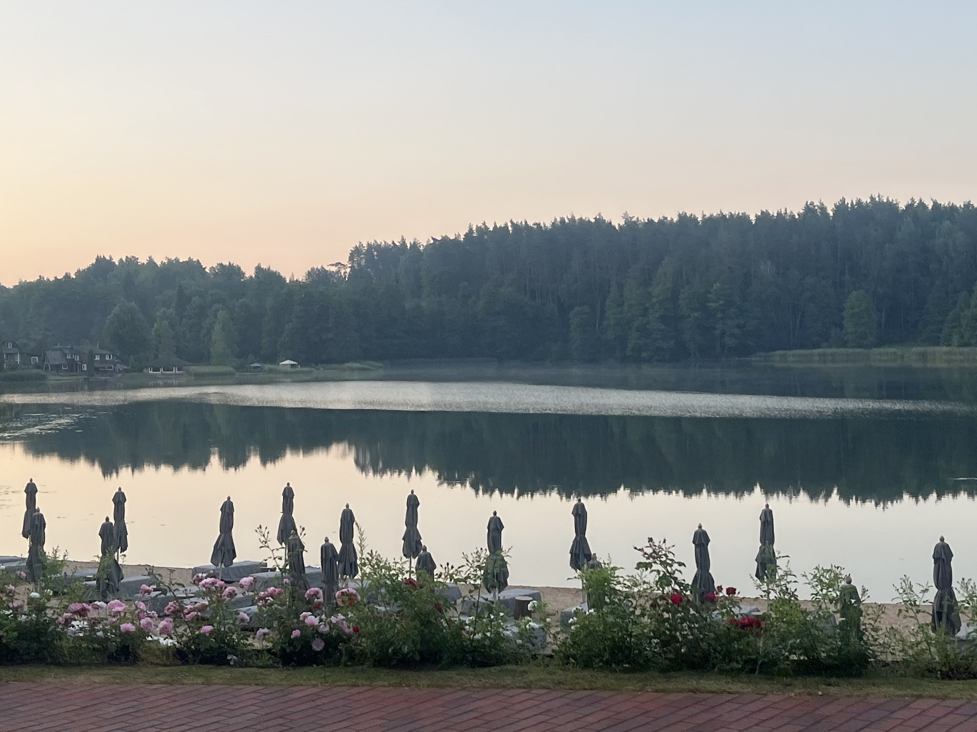 In the city of Paunguriai, Lithuania, this image captures a tranquil lakeside scene during what appears to be early morning or late evening. The foreground is dominated by a brick-patterned patio, leading to a garden filled with blooming pink and red roses and lush green foliage. Beyond the garden, a sandy beach is lined with numerous closed beach umbrellas, their dark fabric contrasting with the light sand and the soft hues of the sky.
The lake stretches across the middle ground, its surface smooth and reflecting the dense, dark green forest that lines its far bank. The forest creates a deep, unbroken silhouette against the pale, gradient sky, which transitions from a soft pink near the horizon to a pale blue overhead. A few buildings, possibly houses or cottages, are visible nestled amongst the trees on the left side of the lake. The overall atmosphere is one of calm and natural beauty, with the man-made elements harmoniously integrated into the landscape.