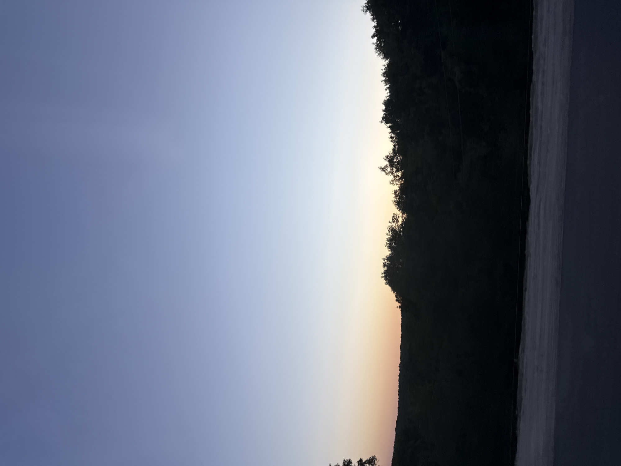 The image depicts a serene twilight scene over a rural landscape in Sărata-Mereșeni, Moldova. The sky transitions from a deep blue at the zenith to a soft gradient of pale blue and peachy orange near the horizon, indicating either dawn or dusk. Below the sky, a dense line of silhouetted trees forms a dark, undulating ridge against the lighter sky. The trees appear to be deciduous and are tightly packed, creating a textured, dark mass. In the foreground, a portion of a road or paved surface is visible, appearing dark and slightly textured, suggesting it might be asphalt. The overall atmosphere is tranquil and natural, with no human presence or discernible man-made structures other than the road.