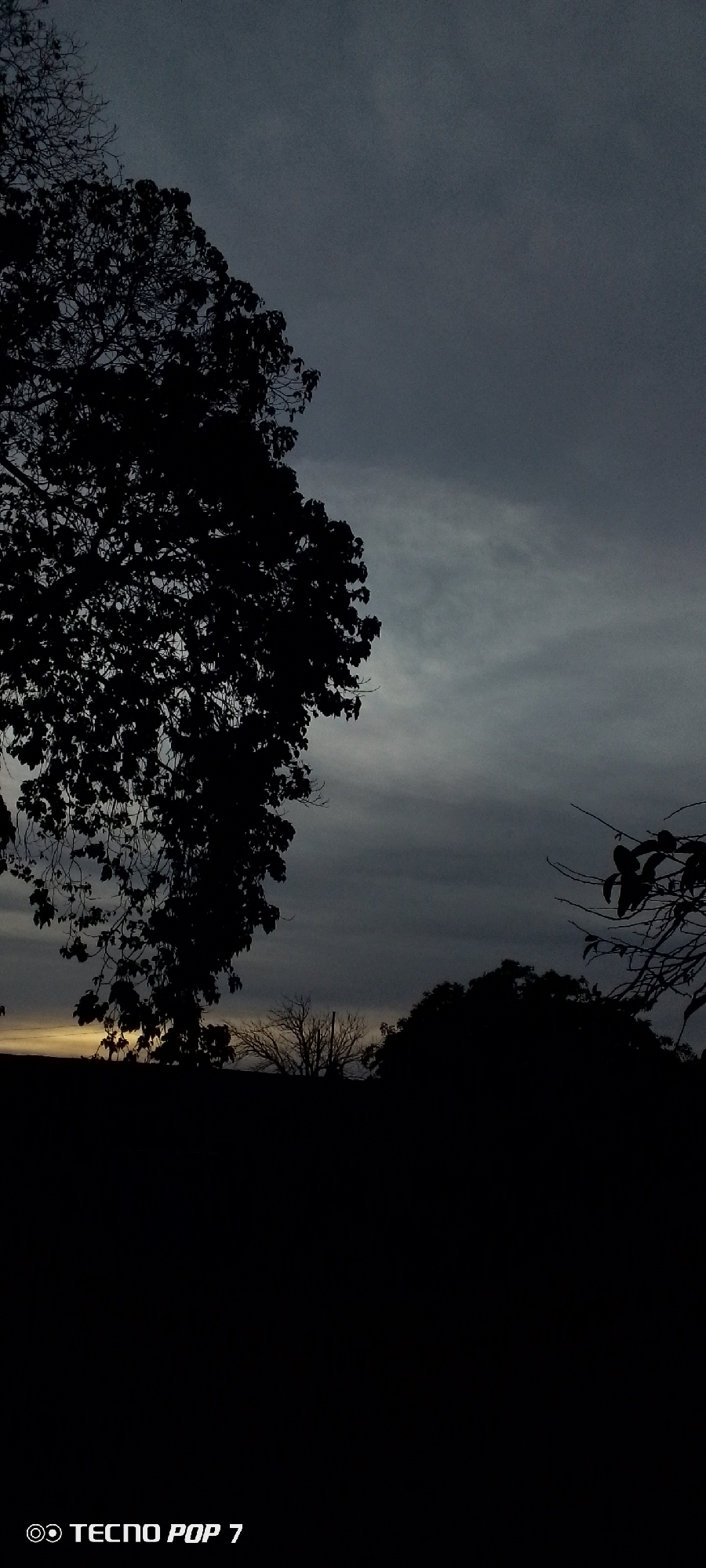 The image shows a dusk or dawn scene in Altagracia, Venezuela, with a dark, overcast sky. Silhouetted trees dominate the foreground, with a larger, leafy tree on the left and smaller trees to the right and in the center. The foreground is entirely black, suggesting the photo was taken from a low vantage point or during low light conditions. A hint of light is visible on the horizon between the trees. A "Tecno Pop 7" watermark appears in the lower-left corner of the image.