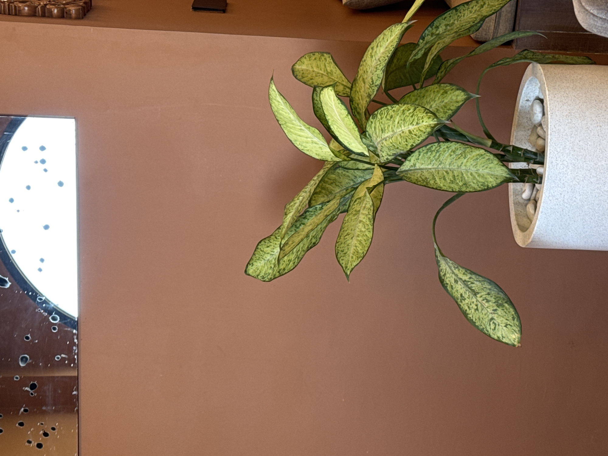 A potted Dumb Cane plant with variegated green and yellow leaves is positioned in the foreground, with its base partially obscured by a speckled grey pot filled with small white stones. The plant's leaves are broad and lance-shaped, with prominent veins and a mottled pattern. Behind the plant, a plain terracotta-colored wall serves as the backdrop. In the upper portion of the image, a reflective surface, possibly a mirror, is visible, displaying a distorted reflection of a circular, illuminated window with dark spots scattered across it. The overall scene appears to be indoors, in North Kuta, Indonesia.