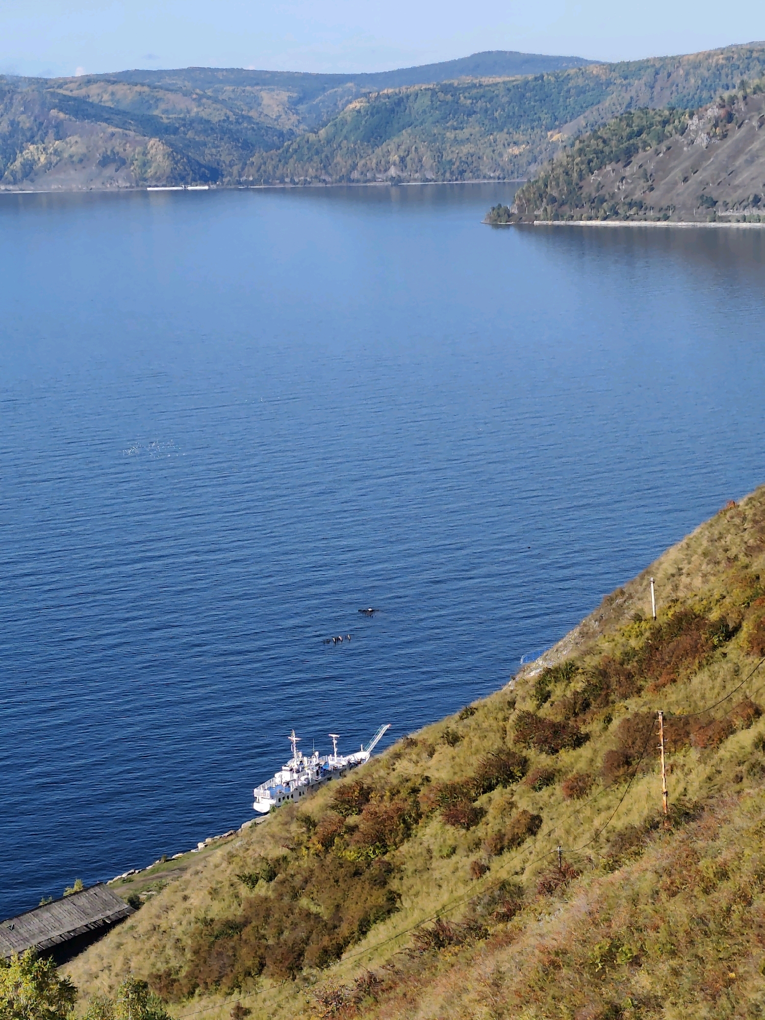 This is a medium-high angle, outdoor, daytime shot of a wide, calm body of water with a distant, hilly shoreline. The water is a deep blue, with gentle ripples creating a textured surface. In the mid-ground, a white vessel with multiple decks and a crane is docked along a grassy incline. The incline itself is covered in dry grass and scattered patches of autumnal foliage in shades of yellow, orange, and brown. A small, rustic wooden structure with a sloped roof is visible at the base of the incline to the left. Further out on the water, a scattering of dark shapes, possibly birds, are visible. In the background, rolling hills with sparse vegetation and hints of autumn color stretch across the horizon under a clear, light blue sky. The scene appears to be a natural landscape, possibly near Lake Baikal in Russia, given the characteristic terrain and vastness of the water.