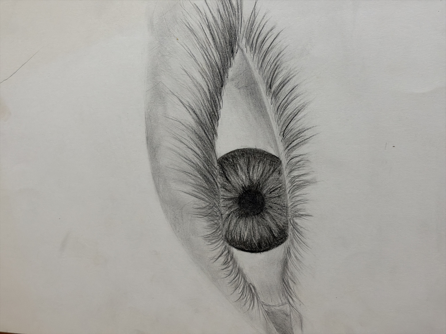 The image is a monochrome pencil drawing of a human eye, rendered on a light-colored paper. The eye is depicted in a realistic style, with careful attention to detail in the iris, pupil, and eyelashes. The pupil is a solid black circle at the center, surrounded by an intricately textured iris featuring numerous radial lines and varying shades of gray, suggesting depth and structure.
Long, distinct eyelashes are prominent on both the upper and lower lids, fanning out around the eye. The upper lashes are particularly dense and long. The whites of the eye (sclera) are subtly shaded, contributing to the three-dimensional appearance of the eyeball. The eyelids are also shaded to convey their form and curvature.
The drawing is presented close-up, isolating the eye against a plain background of the paper. There are some faint smudges and minor imperfections on the paper, including a thin, light scratch or crease visible towards the upper left corner of the image. No activity or event is taking place within the drawing itself, beyond the static representation of the eye. There are no visible location cues, indications of time of day, or overt emotional expressions. No text is present in the image.