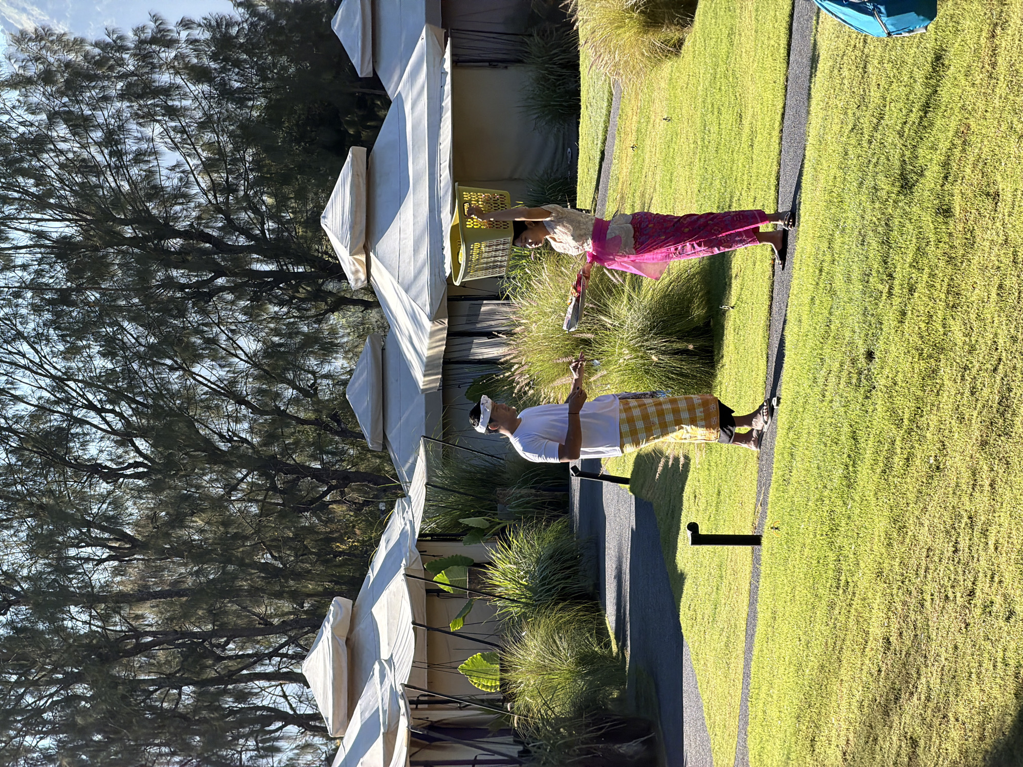In Kintamani, Indonesia, two individuals, a man and a woman, stand on a well-maintained grassy area adjacent to a paved pathway. The man, dressed in a white t-shirt and a yellow and white checkered sarong, faces the woman. He wears a white headband. The woman, wearing a light-colored, ornate blouse and a vibrant pink sarong, has a yellow woven basket balanced on her head. She holds a flat tray in her hands, which appears to contain various items. Behind them, a row of canvas tents with peaked roofs, reminiscent of glamping accommodations, are set up in a landscaped area with lush vegetation and tall grasses. Trees with dense foliage are visible in the background, and the scene is bathed in bright sunlight, suggesting it is daytime.