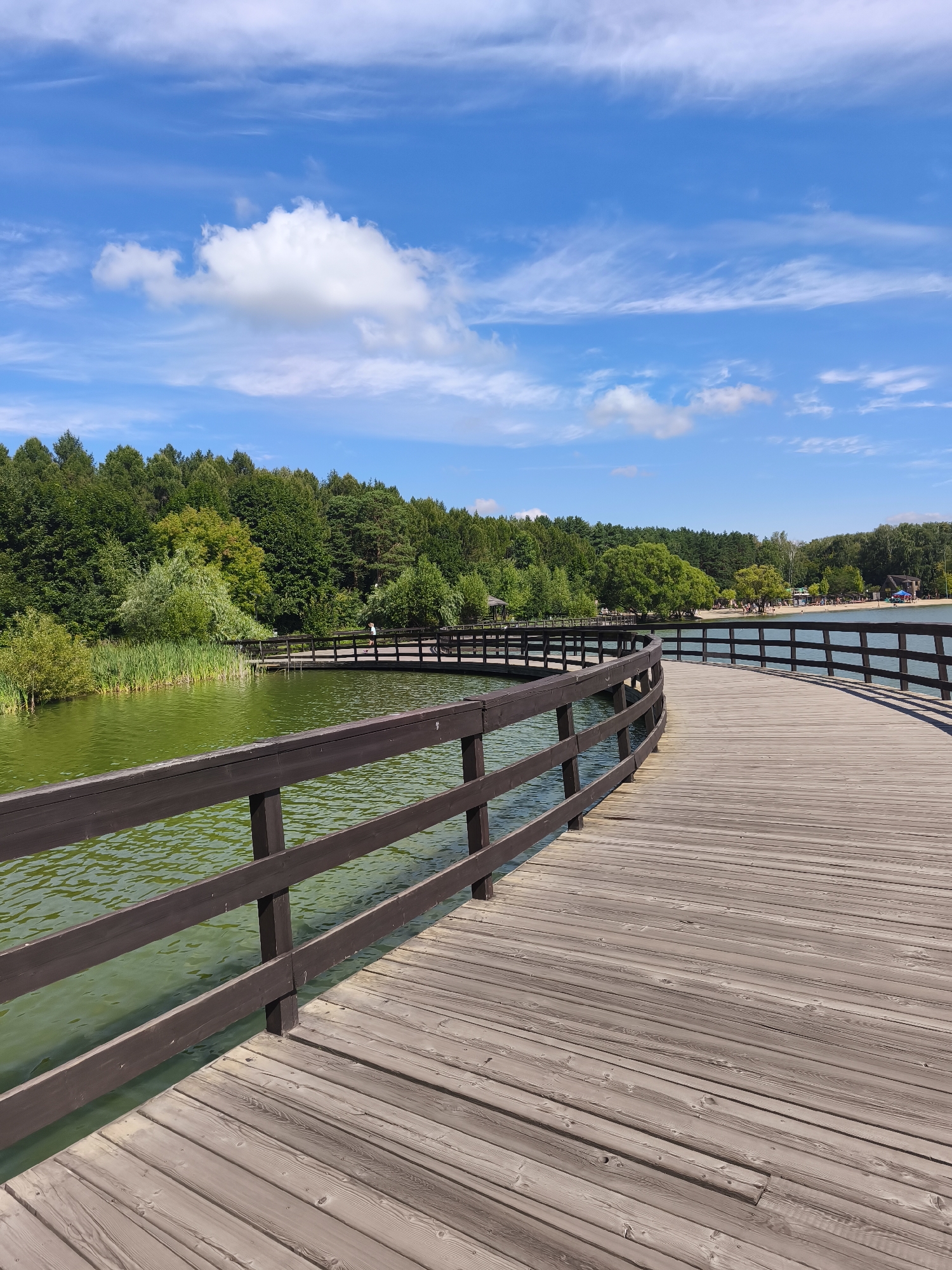 A wooden boardwalk curves around a body of green water. The boardwalk has a dark brown railing. On the left side of the boardwalk, tall green reeds grow along the water's edge, backed by a dense forest of green trees. On the right side of the boardwalk, the water extends further, with a sandy beach visible in the distance, lined with trees and some buildings. The sky is blue with scattered white clouds. The image does not contain any information that suggests it is located in Moscow, Russia.