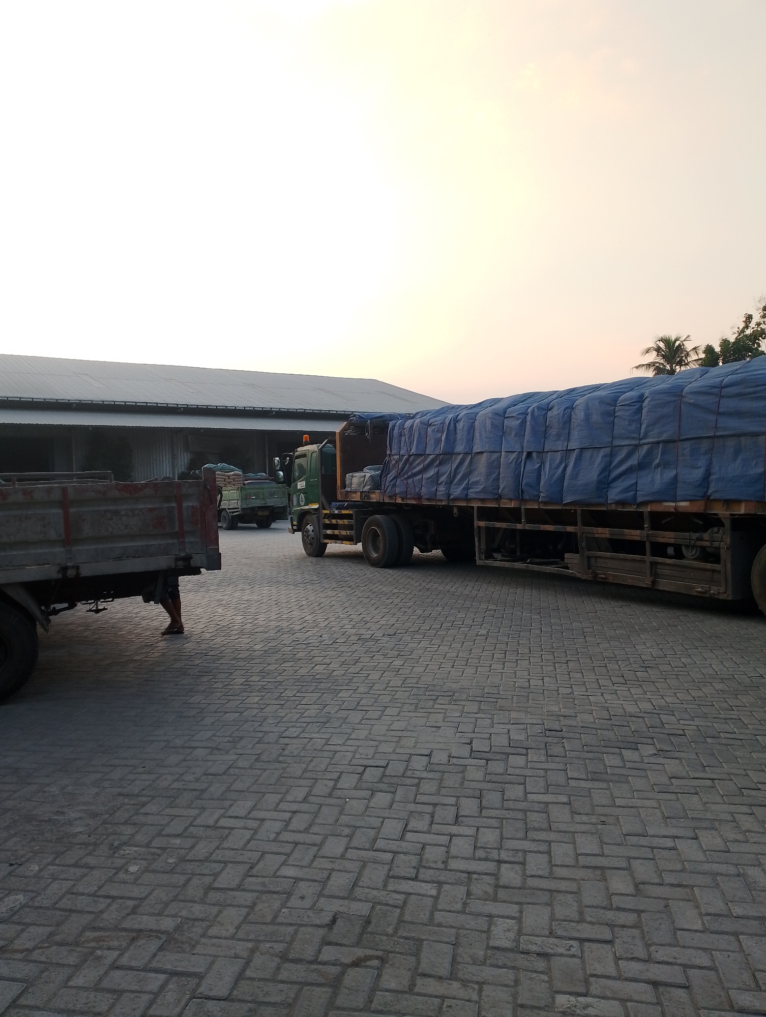 The image depicts a loading area outside a warehouse in Jambean, Indonesia. In the foreground, a weathered, red-sided truck is parked, with a person's legs visible near the rear passenger-side wheel, suggesting they are either loading or unloading cargo. To the right, a larger truck is parked, its cargo covered with a large blue tarp. The tarp is secured with ropes and appears to be full, indicating a significant shipment. In the background, a long, gray warehouse building with a corrugated metal roof stretches across the frame. The ground is paved with interlocking brick pavers. Two smaller trucks are visible further inside the loading area, one of which is green and appears to be carrying sacks. The sky above is a pale orange and yellow, consistent with either sunrise or sunset. The overall scene suggests a commercial operation at a storage facility.