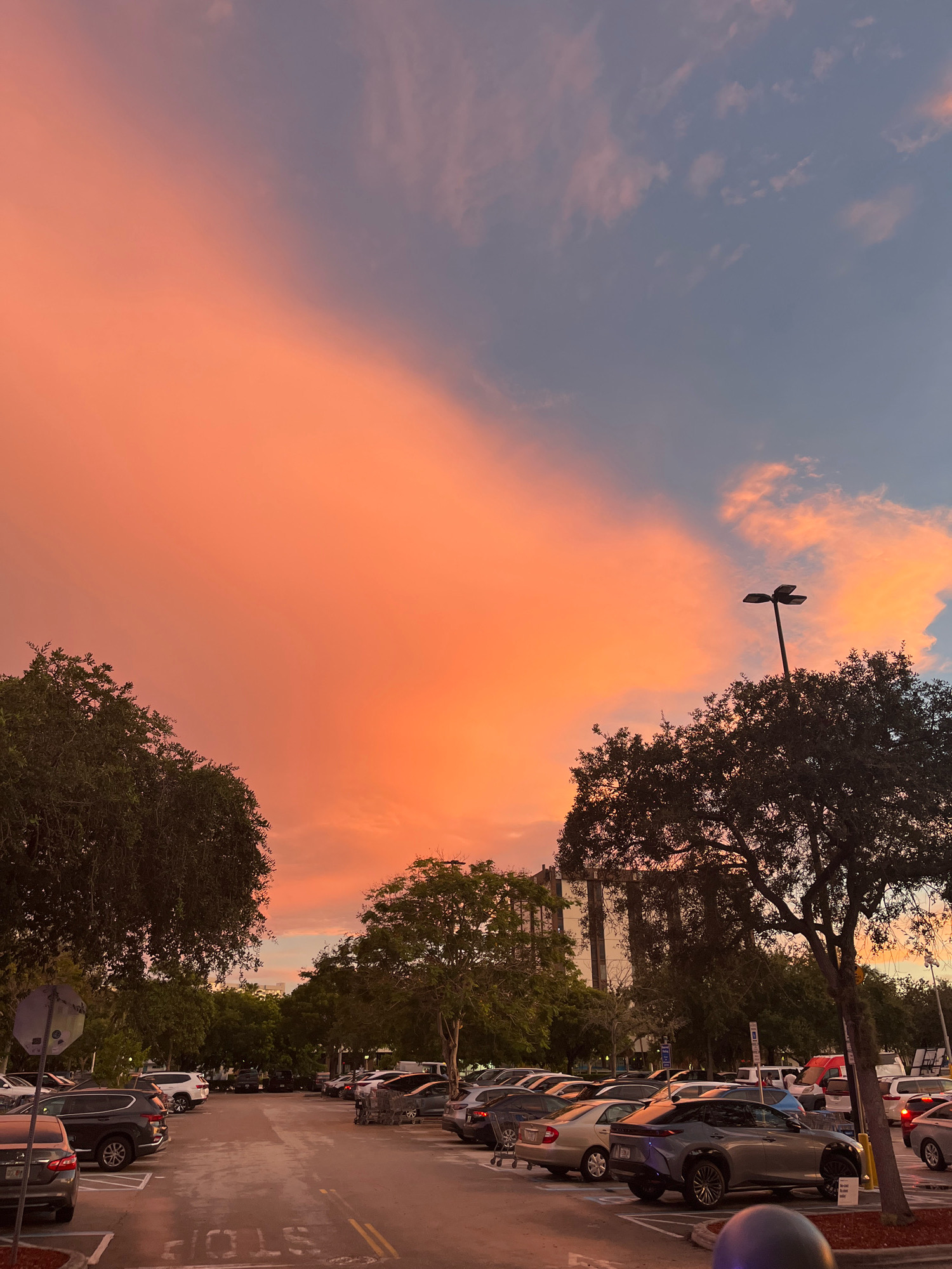 The image depicts a parking lot during a vibrant sunset. The sky is dominated by large clouds colored in shades of orange and pink, with a transition to blue and darker hues towards the top right. Several cars are parked in rows on asphalt, with painted lines indicating parking spaces. Trees with dense green foliage are scattered throughout the scene, some in the foreground and others in the background. A tall street lamp is visible above one of the trees. In the distance, a multi-story building can be seen. The ground of the parking lot appears to be wet, reflecting the colors of the sky. The overall impression is that of a typical urban scene at dusk, enhanced by the dramatic natural light.