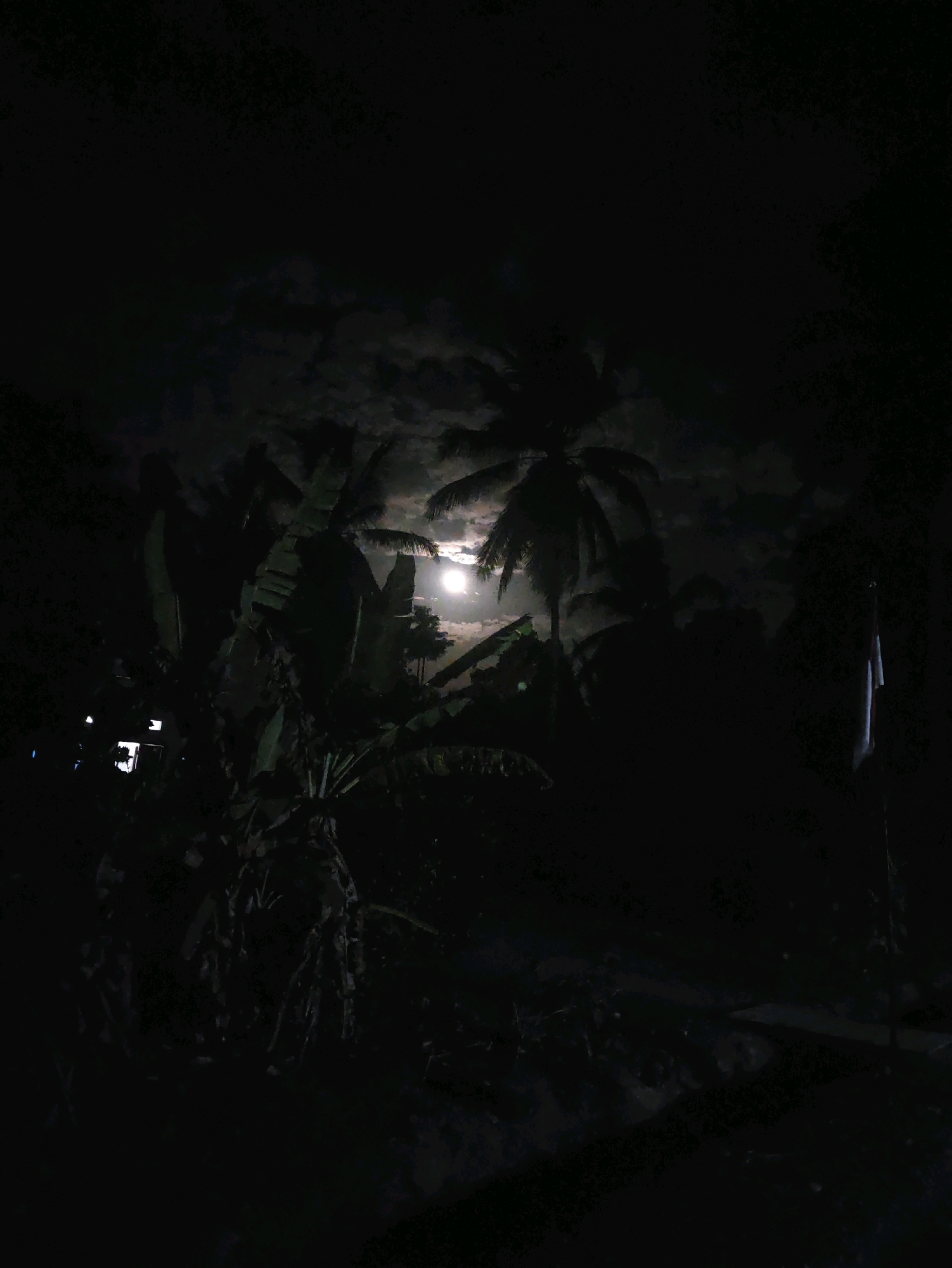 The image depicts a nighttime scene in Negeri Namto, Indonesia, dominated by darkness and illuminated by a bright moon. The moon, partially obscured by clouds, shines through a canopy of tropical foliage, including palm trees and banana plants. In the lower left quadrant, a small structure with a light is visible, suggesting a dwelling or building. On the right side, a flag, possibly the Indonesian flag given the location, is mounted on a pole and partially visible in the dim light. The overall atmosphere is serene and natural, with the moonlight creating an ethereal glow on the leaves and surrounding darkness.