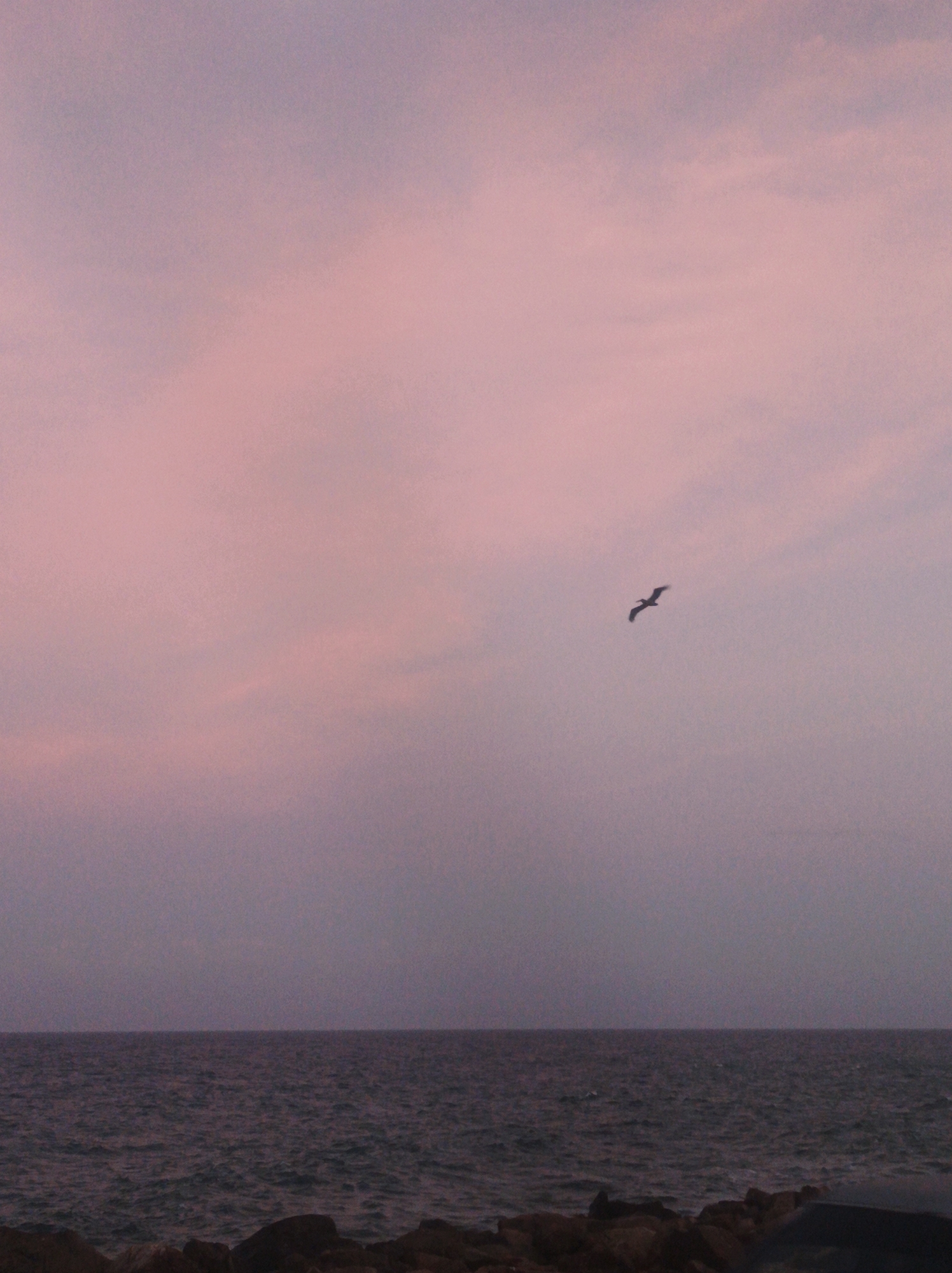 A coastal scene at dusk or dawn, likely in Porlamar, Venezuela, based on the presence of similar coastal imagery associated with that city. The sky transitions from a pale pinkish hue near the horizon to a darker, grayish shade higher up. A single bird is visible in flight, silhouetted against the sky. Below the sky, a body of water, likely the ocean, is seen with minor waves. The bottom of the frame features dark-colored rocks forming a breakwater or shoreline. No people are visible.