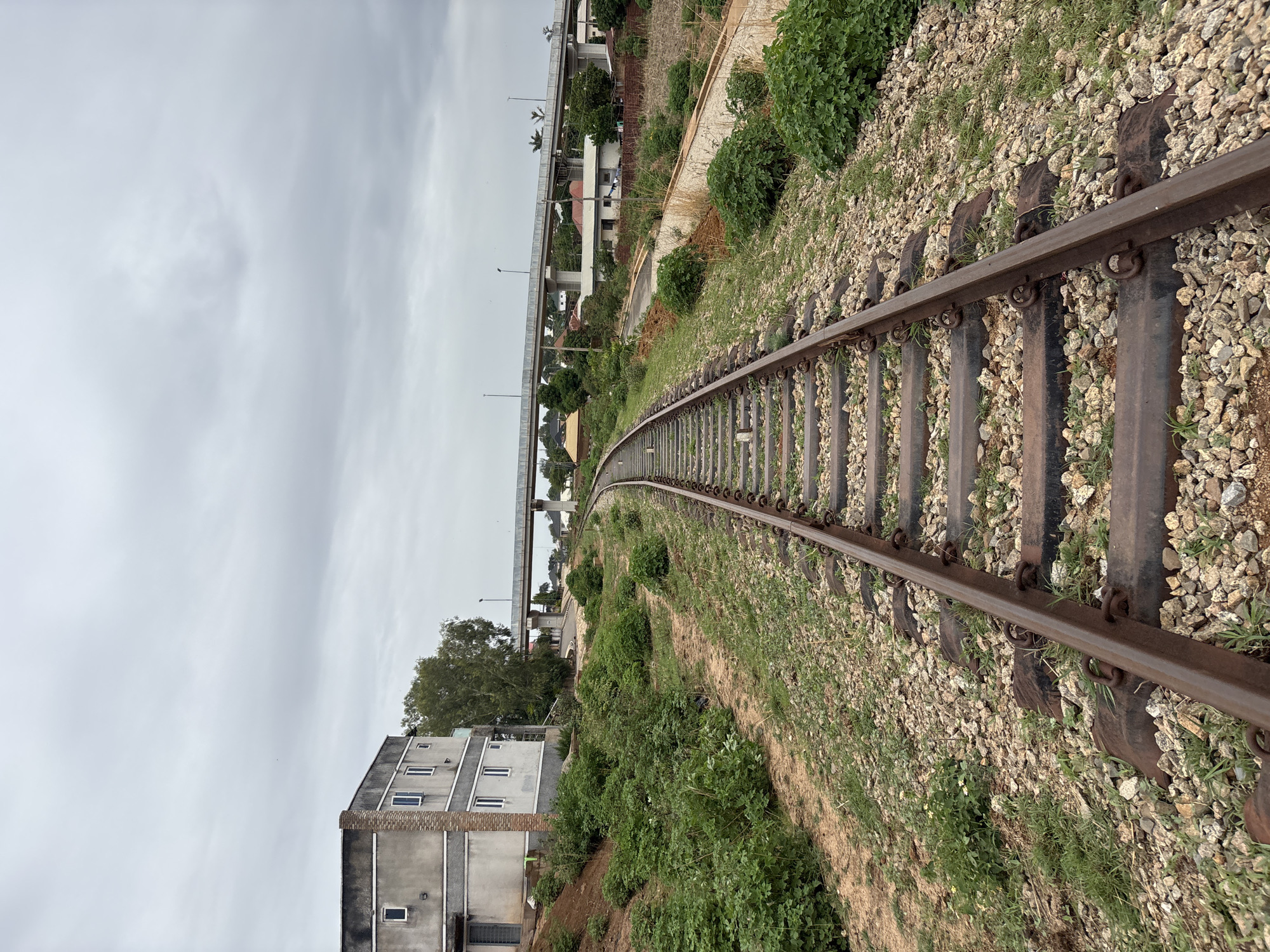 The image depicts a section of railway tracks curving through a landscape in Jos, Nigeria. The tracks are rusty, laid upon wooden sleepers embedded in gravel and earth. Vegetation consisting of grasses and shrubs grows along both sides of the tracks. A multi-story, modern building stands to the left of the railway, while an elevated highway structure is visible in the distance. The sky is overcast and gray. There are no people visible in the frame.