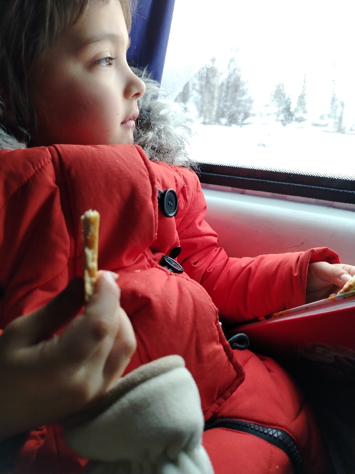 A young child in a bright red winter coat with a fur-lined hood is seen in profile, gazing out a window. The scene outside the window is snowy. The child is holding a small cracker in one hand and a red book in the other. The interior appears to be a train or bus, suggested by the seat back.