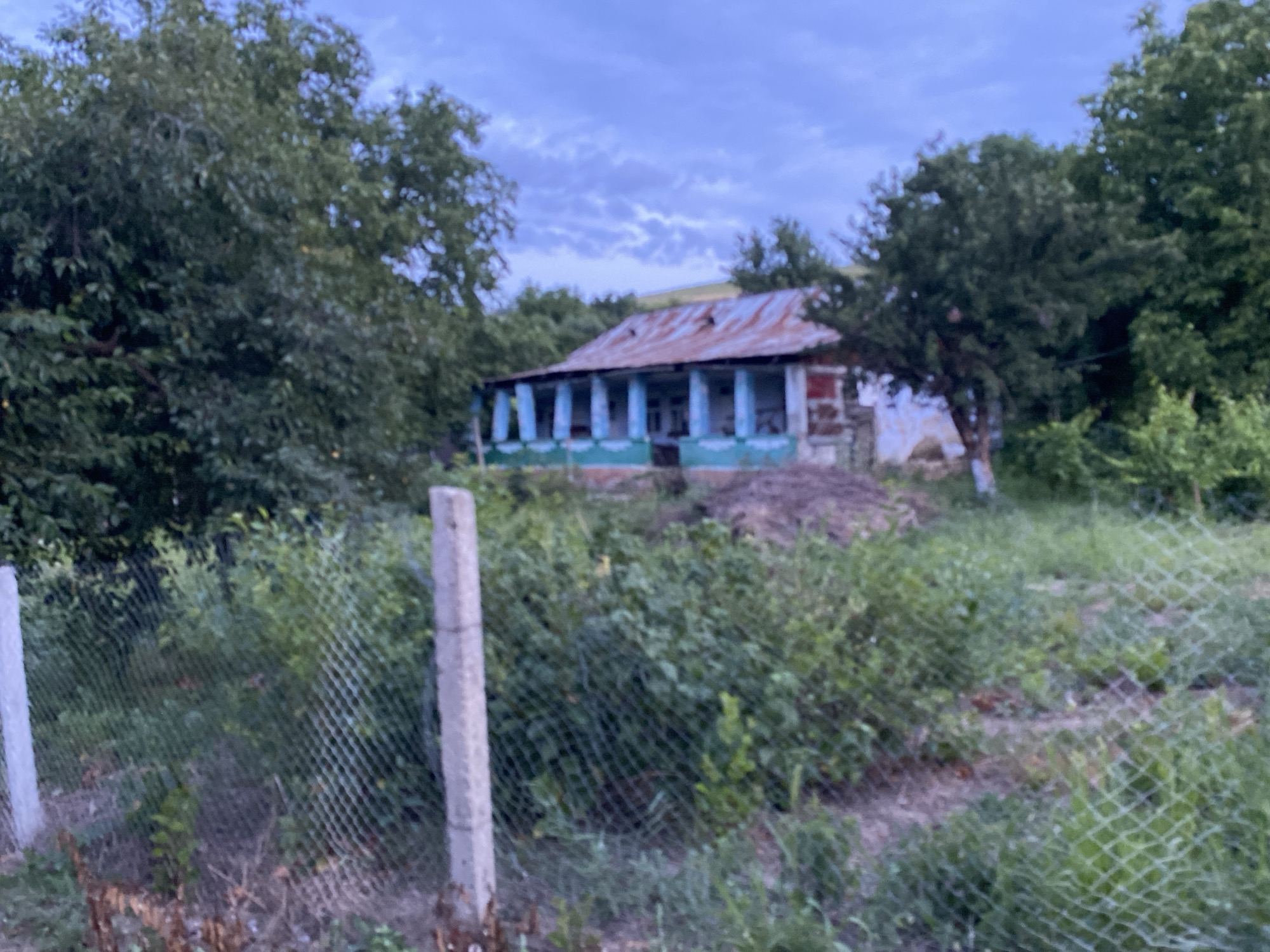 An outdoor, medium-distance shot captures a slightly dilapidated, single-story house with a rusted, corrugated metal roof. The house features a blue and white porch with supporting pillars. It is situated amidst lush green trees and vegetation. In the foreground, a wire mesh fence is supported by concrete posts, suggesting a boundary around the property. The sky is overcast with diffused lighting, indicating either dawn or dusk. The overall scene depicts a rural or semi-rural setting.