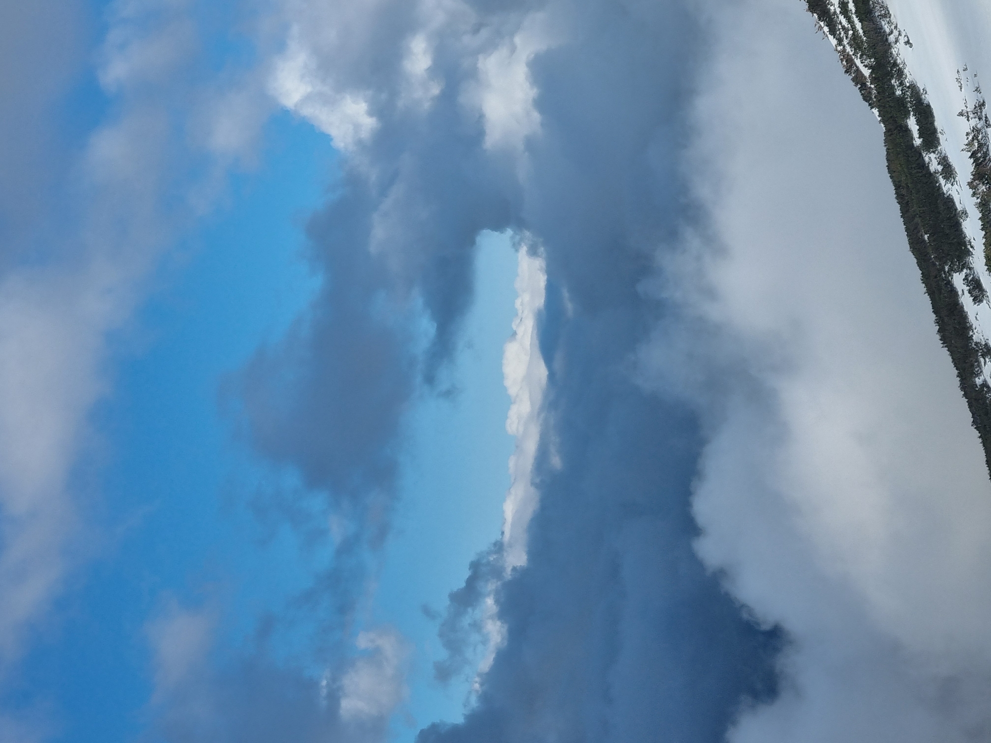 The image shows a view of the sky and what appears to be the side of a mountain. The sky is mostly covered by dark and light clouds, with a patch of blue visible in the center. On the right side of the image, there is a steep slope covered in snow and some trees.
Without additional information, it is not possible to ascertain the precise location, environment, or any interactions with people, especially its location in the city of Govedartsi, Bulgaria.