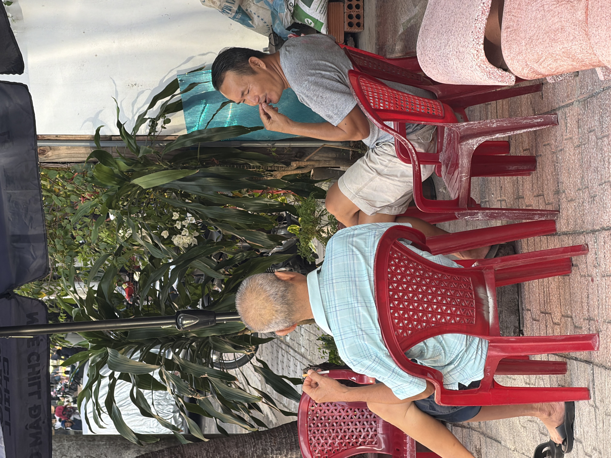 Two middle-aged Asian men are seated on red plastic chairs outdoors, in front of a building. The man on the left, seen from behind, has graying hair and is wearing a light blue checkered shirt and dark shorts. He holds a cigarette in his right hand, between his index finger and thumb. The man on the right is facing left and is slightly turned towards the other man, appearing to be speaking. He has short dark hair and is wearing a grey t-shirt and light-colored shorts. His right hand is near his mouth, with his index finger touching his chin. Both men are seated with their legs crossed or extended.
Behind the men, lush green foliage from large potted plants is visible, with some white flowers interspersed. A dark umbrella extends over the scene from above. In the background, a street scene is suggested with the presence of motorcycles and people, indicating an urban environment. The ground is paved with interlocking bricks. The overall setting suggests a relaxed outdoor seating area, possibly at a cafe or shop in the city of Nha Trang, Vietnam. The lighting suggests it is daytime, possibly late afternoon, with sunlight casting shadows.