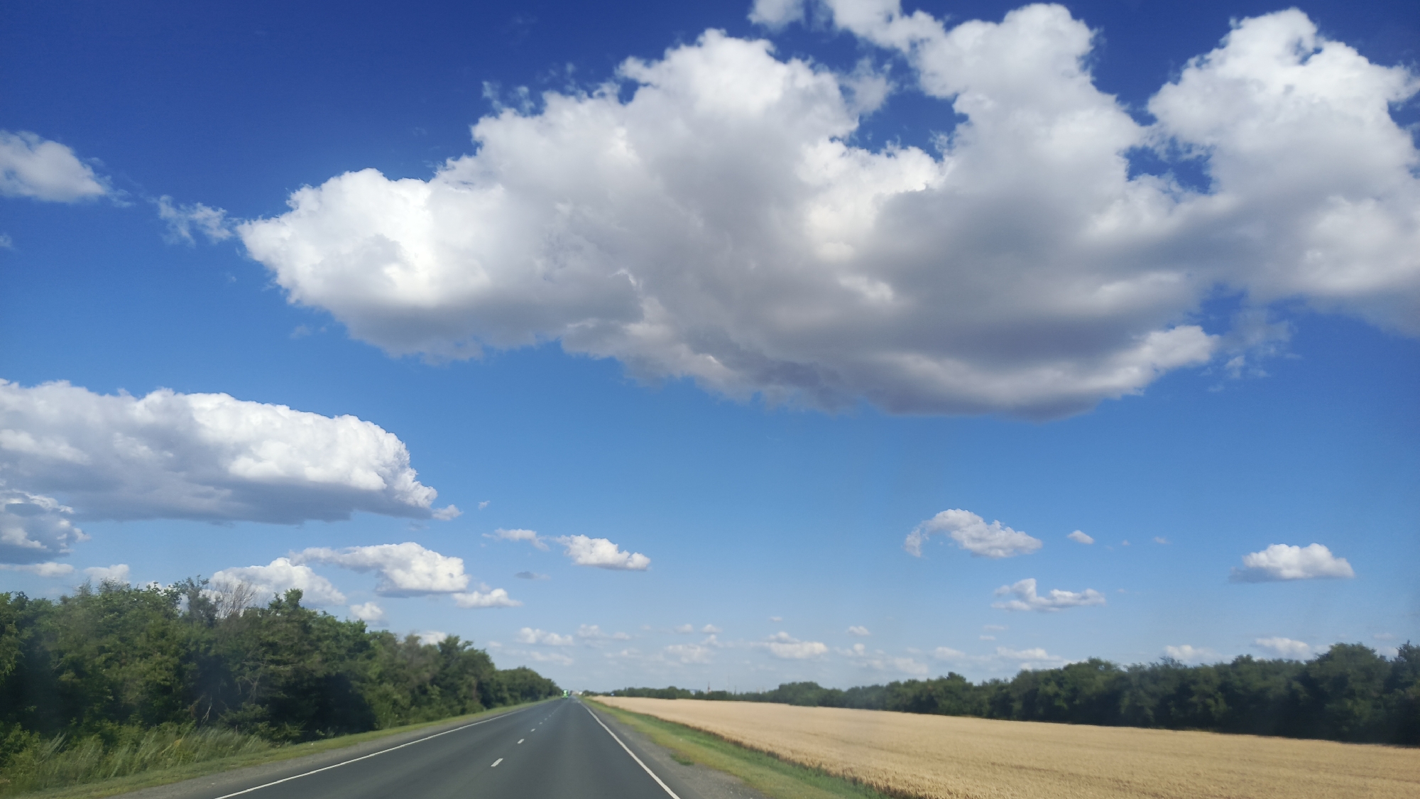 The image depicts a vast, open landscape under a bright blue sky dotted with fluffy white clouds. A paved road stretches into the distance, bordered by a lush green treeline on the left and a golden field of ripe wheat or barley on the right. The sun appears to be high in the sky, suggesting it is daytime, likely midday or early afternoon. The weather seems clear and pleasant, ideal for travel or outdoor activities. There are no people or vehicles visible in the immediate foreground, emphasizing the sense of solitude and expansiveness of the rural setting. The scene evokes a feeling of peacefulness and the beauty of nature. The location is identified as Золотая Степь, Russia.