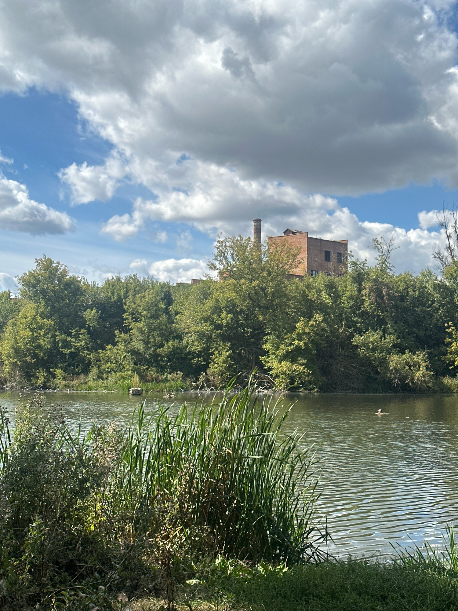 This is a photograph taken in the city of Makiv, Ukraine, depicting a body of water bordered by dense trees and vegetation. In the background, a brick industrial building with a tall chimney rises above the treeline under a cloudy sky. The foreground shows a body of water with ripples, with tall reeds and other plants growing along the bank. A few ducks are visible in the water in the middle ground. The overall scene suggests a somewhat overgrown, possibly industrial or post-industrial landscape adjacent to a natural water feature.