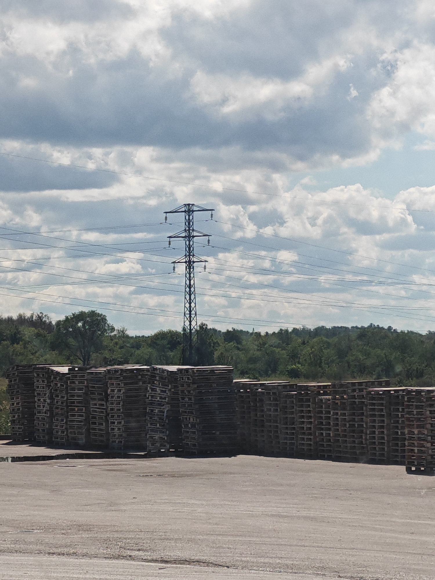 In the city of Okean, Russia, a wide shot captures a large outdoor storage area. In the foreground, stacks of wooden pallets are neatly arranged, stretching horizontally across the frame. Beyond the pallets, a dense line of green trees forms a natural boundary. Dominating the background is a towering electrical pylon, intricately laced with a network of power lines that crisscross the sky. The sky above is a dramatic canvas of billowing white clouds against a pale blue backdrop. The overall scene is one of industrial utility set against a natural landscape under a vast sky.