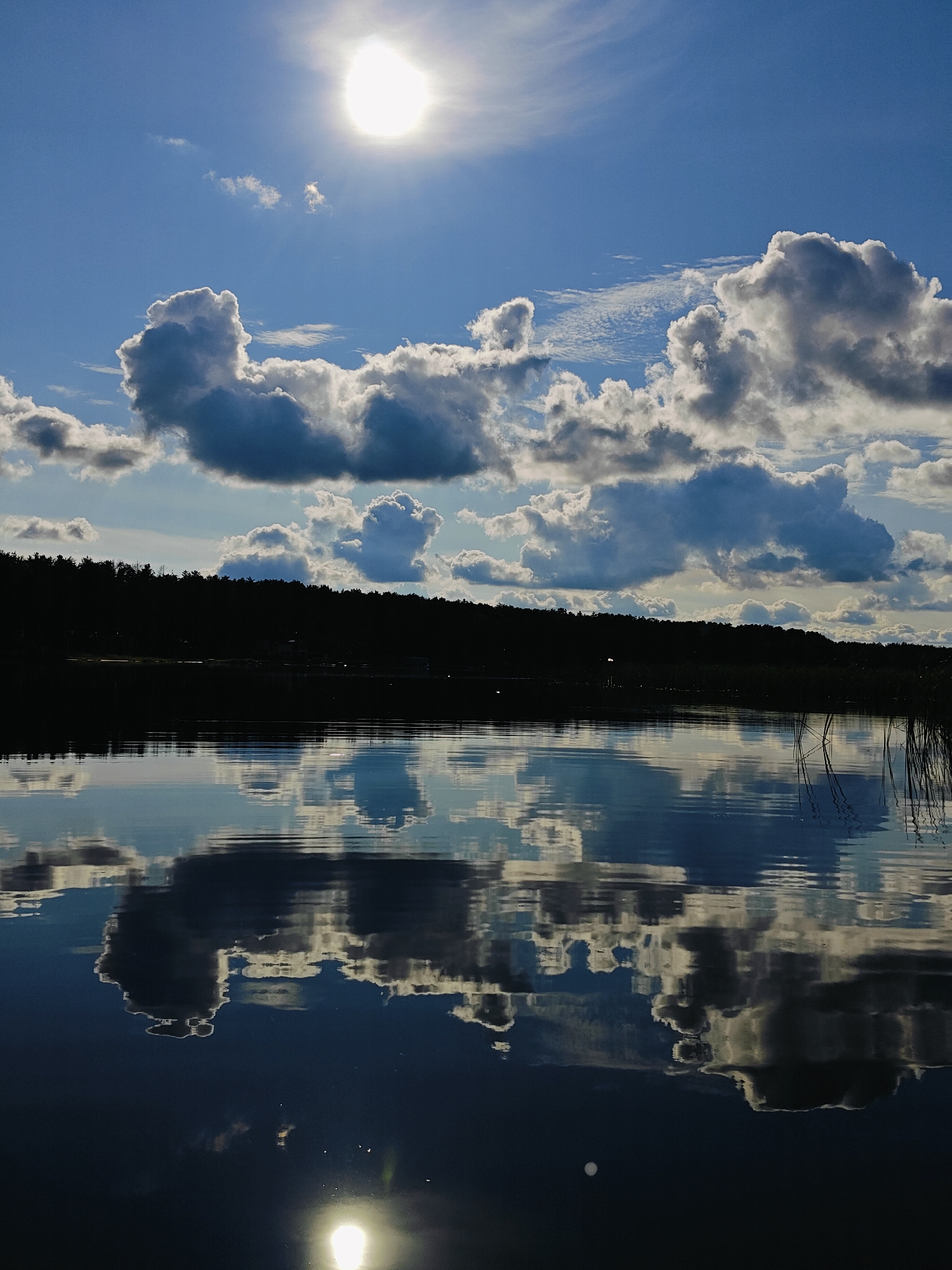 A bright sun is visible in the upper left of the frame, shining through scattered white and gray clouds against a clear blue sky. A dark, silhouetted treeline runs horizontally across the middle ground, suggesting a forested shore. Below the treeline, the calm surface of a body of water reflects the sky, clouds, and the distant treeline. Some tall reeds or grasses are visible along the right edge of the water. The overall impression is of a serene natural landscape, likely a lake or river, under a partly cloudy sky. The location is identified as Chaykovsky, Russia.