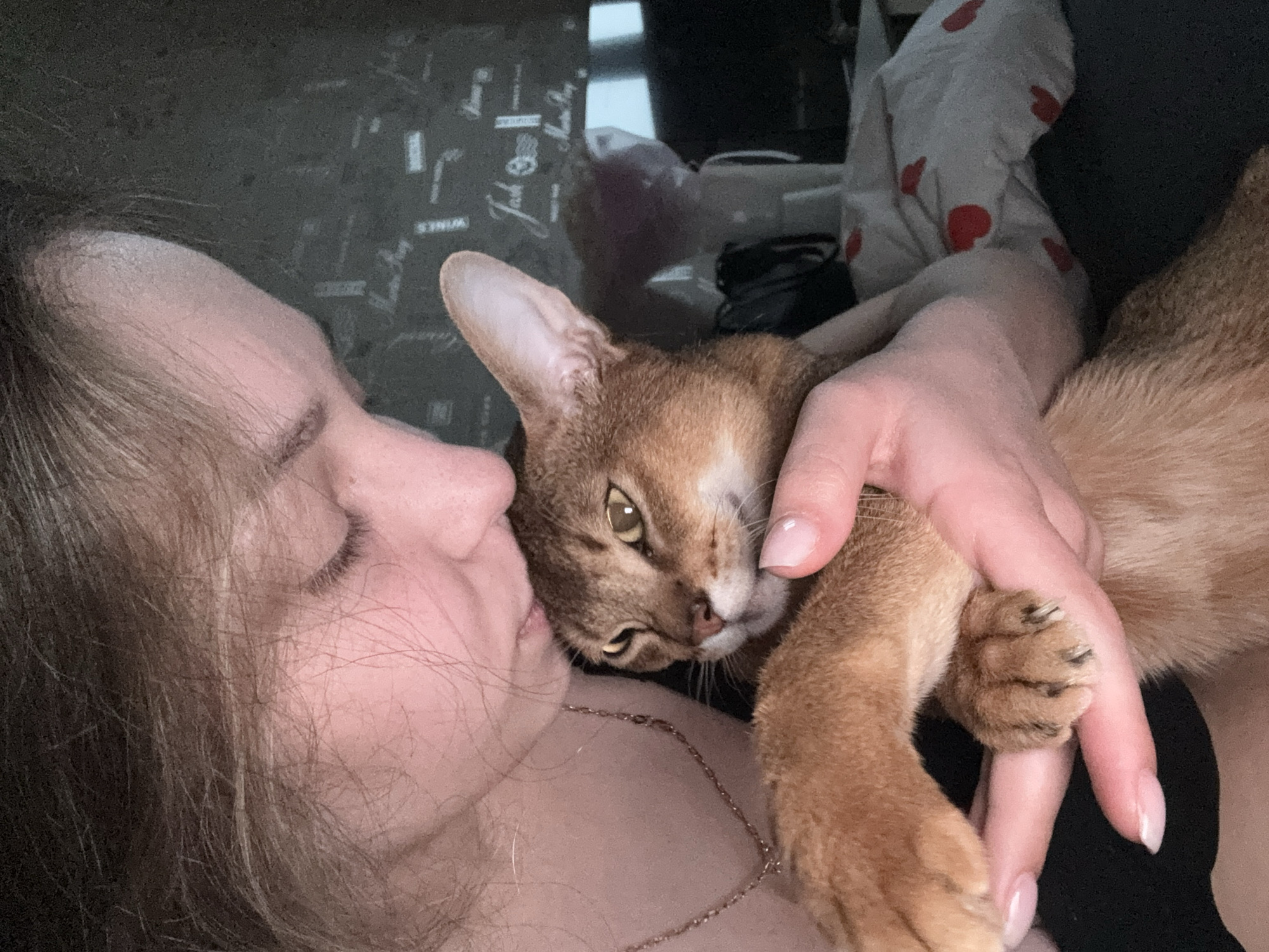 A person is lying down, face near the face of a ginger cat with one golden eye visible. The person has closed eyes. A hand is holding the cat. The location is indeterminable from the image, so it is not possible to confirm the location is in Chaikovsky, Russia.
