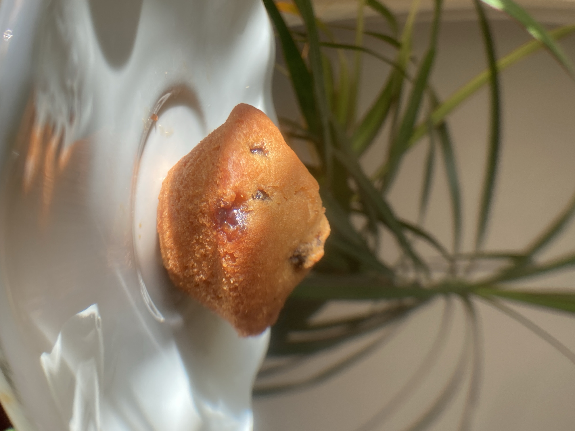 This close-up, high-angle shot captures a single mini muffin resting on the rim of a white, fluted dish. The muffin, a warm golden brown, has a slightly uneven, textured surface. Visible within its crumb are dark specks, likely from ingredients such as chocolate chips or raisins, and a glistening, jam-like filling can be seen in one crevice. Sunlight streams onto the scene, casting highlights and soft shadows on the dish and muffin, indicating it is likely daytime. In the background, out of focus, are the green fronds of a plant, suggesting an indoor setting. The lighting and shallow depth of field draw the viewer's attention directly to the muffin and the delicate details of the dish. No people, text, or specific location cues are identifiable.