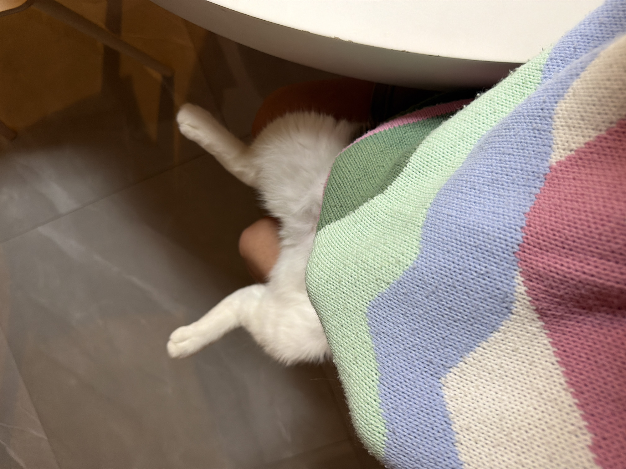 An indoor, high-angle shot captures a cozy scene featuring a white cat and a person, likely located in Bat Yam, Israel. The primary subject is a small, fluffy white cat, partially visible from its back and hind legs. The cat appears to be nestled comfortably under a white table or counter, its body partially resting on or near a person's leg or arm, which is clad in a colorful, striped knit garment.
The garment features broad, soft pastel stripes in shades of light green, light blue, white/cream, and pink, suggesting a sweater, blanket, or similar fabric. The cat's fur is soft and white, contrasting gently with the colors of the fabric.
The background shows a light brown or grey tiled floor, indicating an indoor setting. The white edge of the table or counter dominates the upper right portion of the frame, providing a visual boundary. The lighting is soft and ambient, suggesting a relaxed atmosphere. There is no visible text in the image. The overall impression is one of domestic comfort and tranquility, with the cat seeking closeness with its human companion.