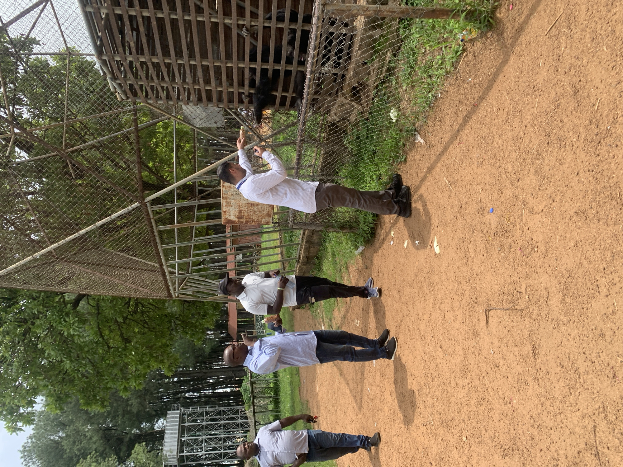 Four individuals are present outdoors near a primate enclosure at an unspecified location in the city of Jos, Nigeria. The enclosure, constructed from metal bars and mesh, contains at least two black primates. One man, wearing a light-colored striped shirt and dark trousers, is leaning towards the enclosure, holding what appears to be food in his right hand and a mobile phone in his left, seemingly interacting with the primates. Another man, in a grey short-sleeved shirt and blue jeans, stands to the left, facing away from the enclosure and towards the viewer. A third man, in a white polo shirt and black trousers, is also facing the enclosure. A fourth man, wearing a light blue striped shirt and dark jeans, stands slightly behind the man in grey, facing the enclosure and gesturing with his right hand. The ground is covered in reddish-brown dirt. In the background, tall trees and a water tower are visible. The sky is overcast.