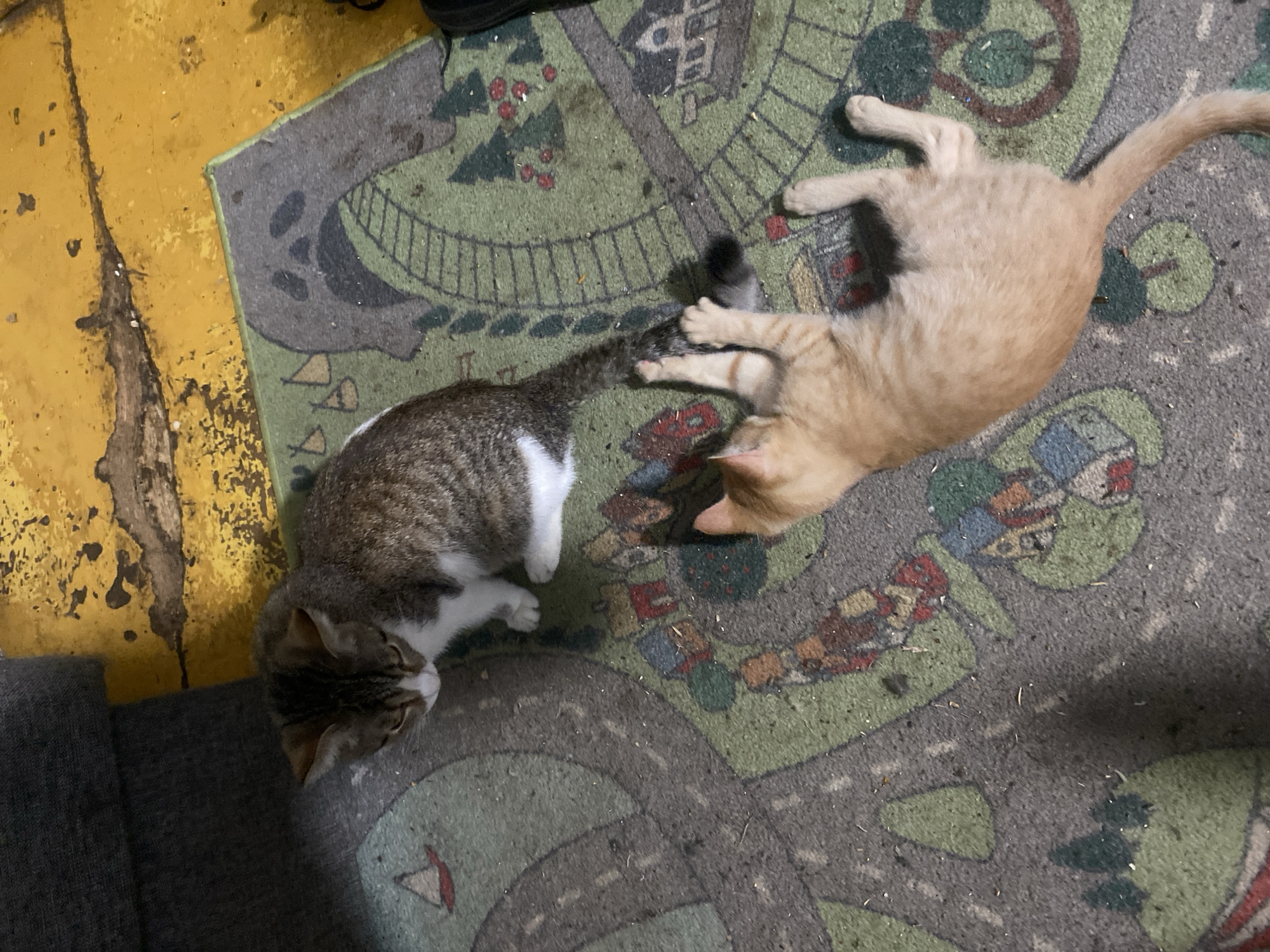 Two cats are on a rug with a town and road pattern. One cat, with brown and white tabby markings, is sitting and looking down. The other cat, a ginger tabby, is lying on its side, looking up at the first cat. The rug is on a yellow and grey floor. There is a dark grey sofa on the left.