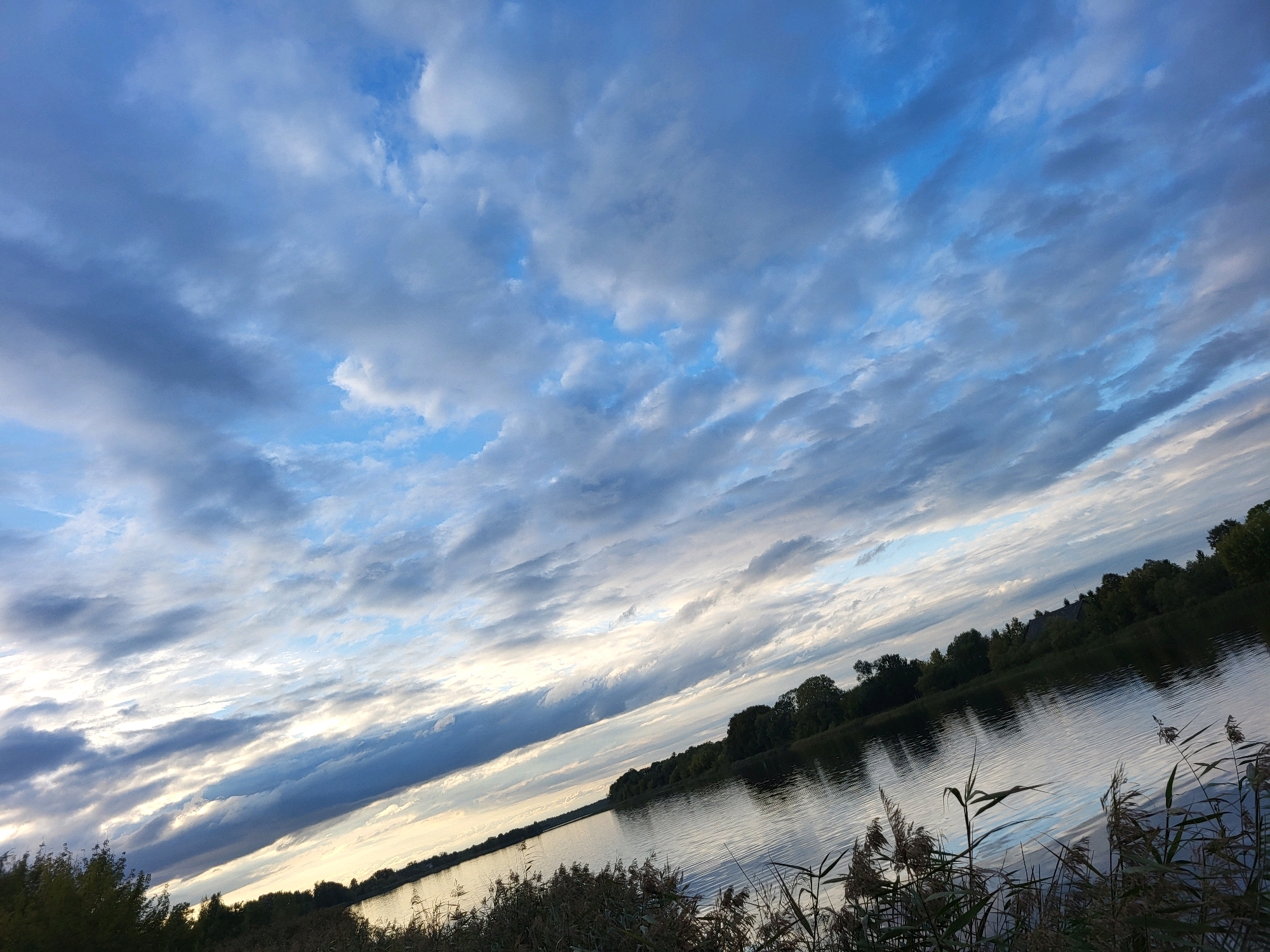 This is a wide-angle, outdoor, eye-level, natural light photograph taken at a slight upward tilt from a shore overlooking a body of water, likely a lake or river, in the city of Kalnciems, Latvia. The scene depicts a vast expanse of sky filled with dynamic, grey and white clouds, streaked across a blue background, suggesting an overcast or partly cloudy day. The clouds are elongated and appear to be moving horizontally from left to right, with patches of brighter sky peeking through.
Below the sky, the water's surface is calm and reflects the muted colors of the sky and the surrounding vegetation. The shoreline is lined with trees and reeds. On the left side of the image, there is a dense cluster of dark green trees. As the view moves to the right, the trees become sparser, revealing a more distant treeline. The water extends across the middle and right sections of the frame, with ripples on its surface indicating gentle movement. In the foreground, tall reeds and grasses, with dried seed heads, are visible, framing the lower part of the image. The overall impression is one of a serene, natural landscape at the edge of a body of water. There are no people or animals visible in the photograph. The time of day appears to be either early morning or late afternoon, given the soft lighting.