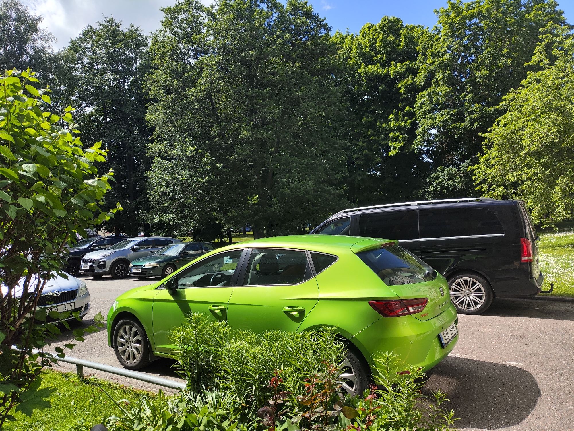 In Tallinn, Estonia, a light-colored car with license plate 759 BLY is parked on asphalt. To its right, a bright green hatchback is parked, partially obscured by lush green foliage and a metal railing in the foreground. Further to the right, a black van is parked. Behind the vehicles, a line of mature trees with dense green foliage creates a backdrop under a clear blue sky with scattered white clouds.