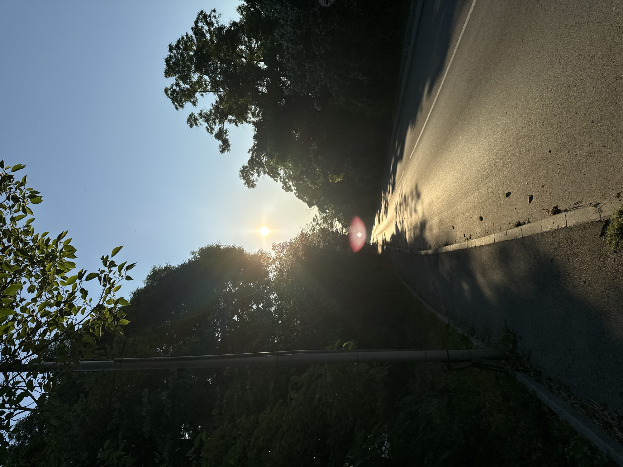 A sunlit road with a sidewalk on the left is bordered by dense trees on both sides, casting shadows. The sun is low in the sky, creating a bright lens flare and illuminating the road with a golden hue. A lamppost stands on the left side of the sidewalk. The sky is clear and blue.
