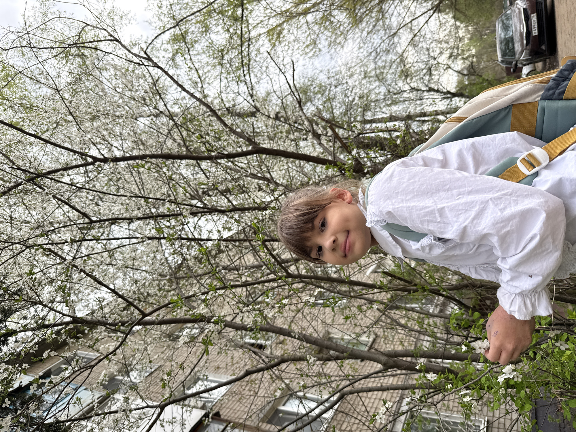 A girl wearing a white dress and a backpack is standing in front of a flowering tree. The location is the city of Rusanovo, Russia. Behind the tree is a building. A car can be seen down the street. The weather is overcast. The girl is looking at the camera and smiling. She is holding a branch of the flowering tree.