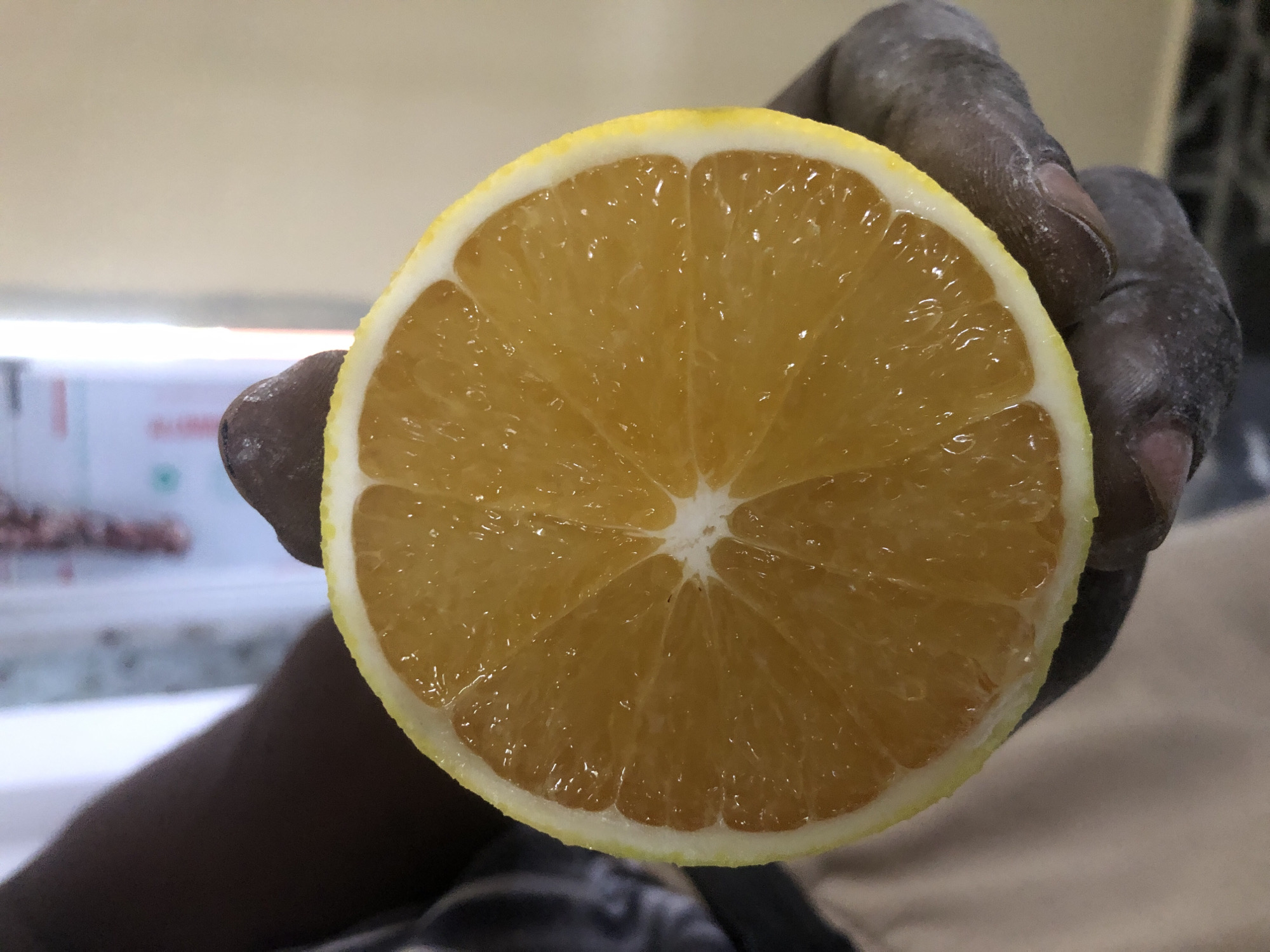 A close-up, vertical, eye-level shot shows a person's dark-skinned hand holding a half-slice of a ripe orange. The orange is juicy and vibrant, with its segments clearly visible and glistening. The peel is a bright yellow-green, and the flesh is a rich orange color. The hand is cupped around the bottom curve of the orange slice, with fingers supporting it from underneath. The background is softly blurred, with hints of beige and white, suggesting an indoor setting. There are no identifiable landmarks or specific details that would indicate a location in Lagos, Nigeria.