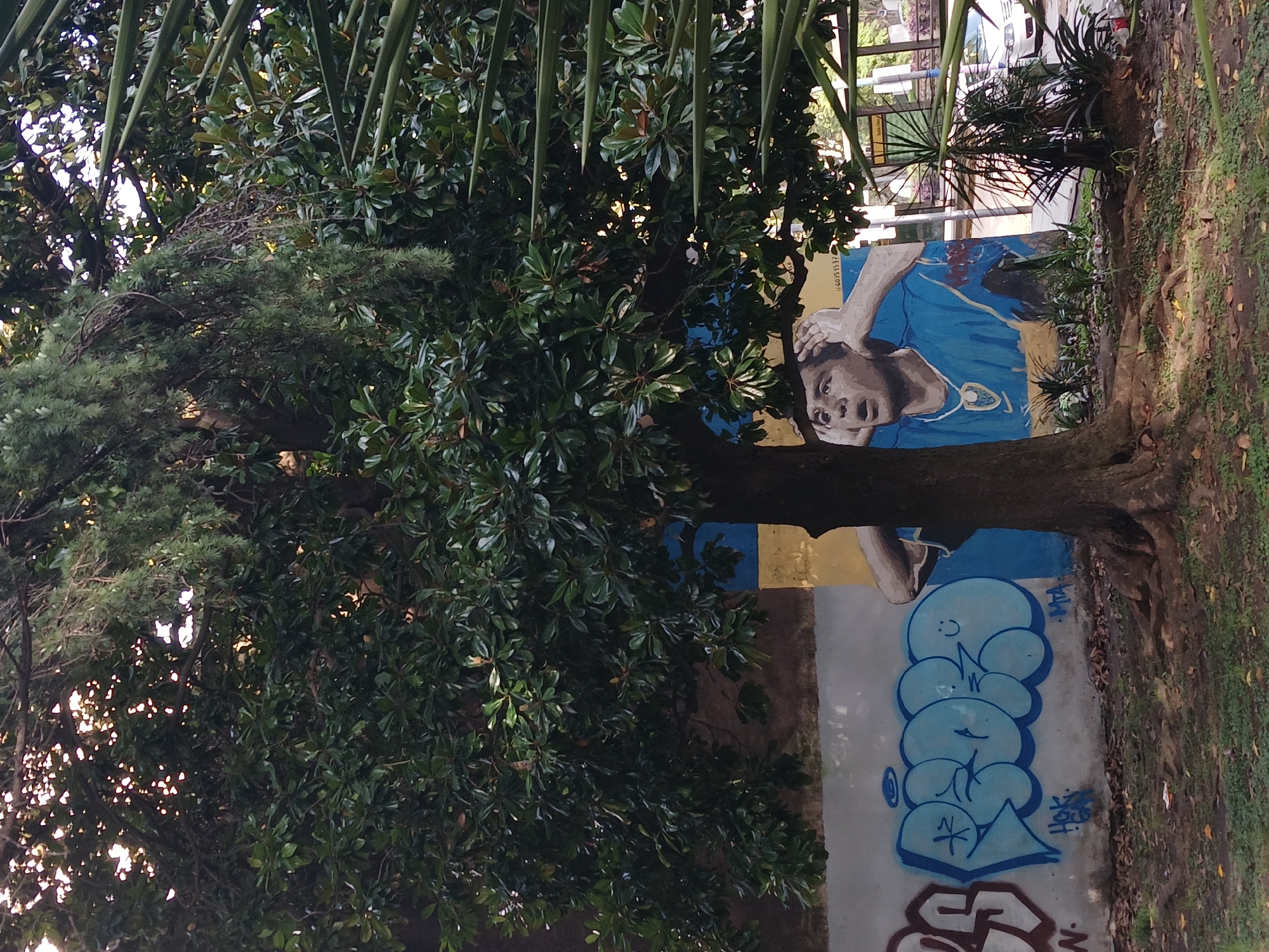 The photograph, taken in Buenos Aires, Argentina, depicts a mural partially obscured by trees. The upper portion of the mural shows a painted portrait of a man in a blue jersey. The lower part of the mural features graffiti in blue and grey tones. The scene includes elements of urban art integrated into a natural setting. The ground around the mural is covered with grass, leaves, and other debris.