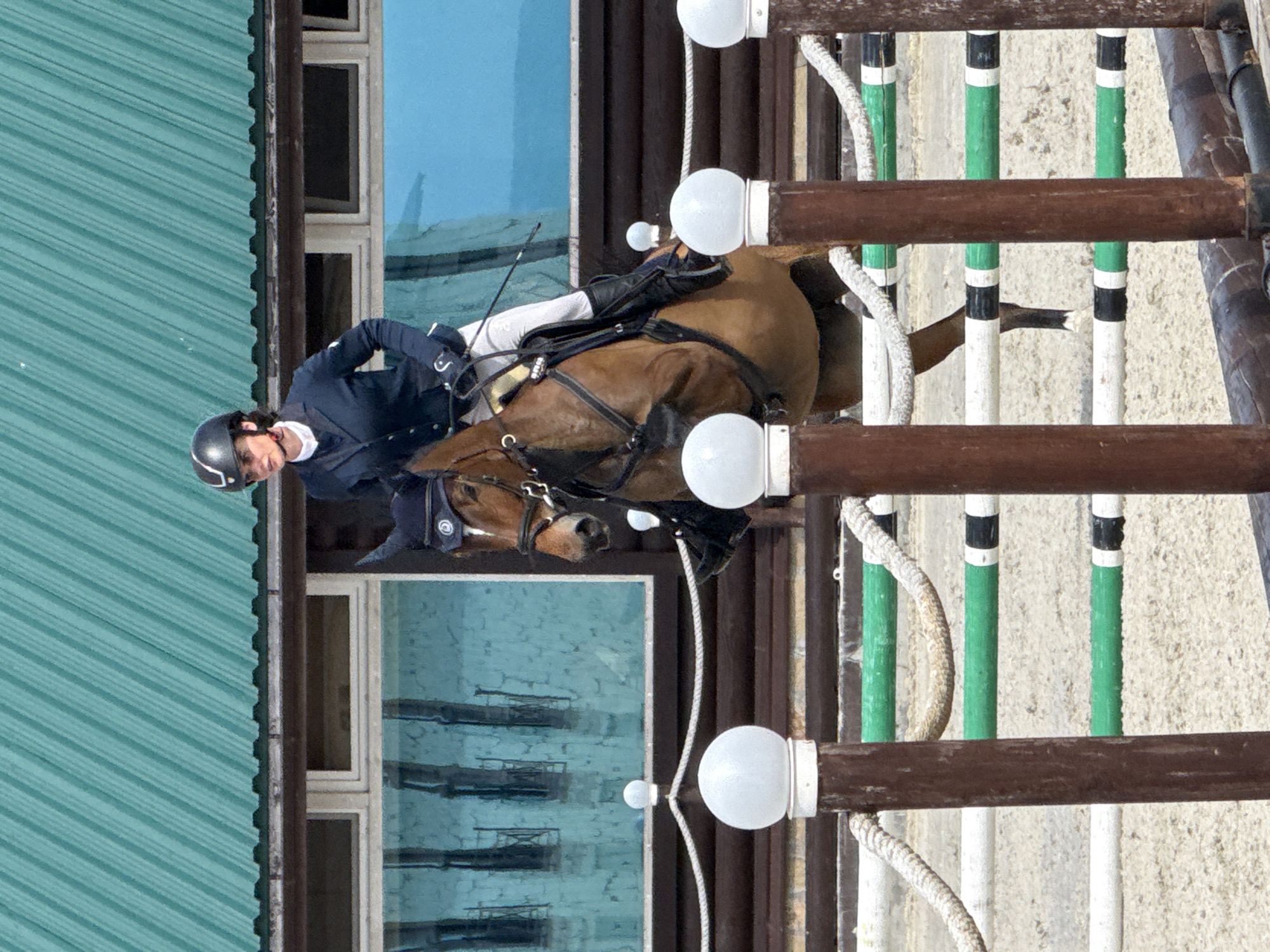 A woman wearing a navy blue riding jacket, white breeches, black riding boots, and a black helmet with a visor is riding a brown horse. The woman is holding a black whip in her right hand. The horse is wearing a navy blue bridle and a navy blue fly bonnet. The horse and rider are positioned in front of a building with a teal-colored corrugated metal roof and wooden walls. The building has several windows with blue glass that reflect the surroundings. In the foreground, there is a jump fence made of wooden posts with white spherical lights and horizontal poles painted white and green with black bands. The ground is covered in sand. The image appears to have been taken at a farm or equestrian facility.
