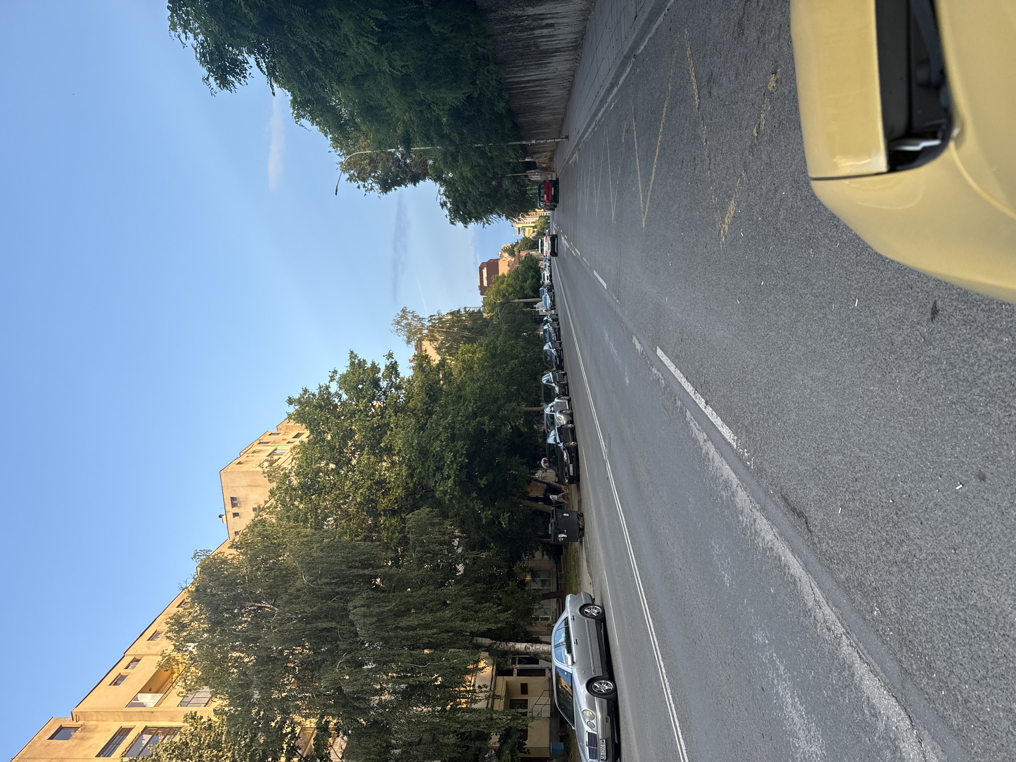 The image depicts an urban street scene in Lovech, Lovech Province, Bulgaria, captured from the perspective of a vehicle's yellow hood, visible in the lower right foreground. The time of day appears to be late afternoon or early evening, evidenced by the warm sunlight illuminating building facades and a mostly clear blue sky with minimal cloud cover.
A two-lane asphalt road with double solid white center lines extends from the foreground into the distance. On the left side of the street, numerous vehicles are parked parallel to the curb. Prominent among them is a silver Mercedes-Benz E-Class sedan (W210 generation) displaying a Bulgarian license plate "OB 0200 BM", followed by a black Audi A6 (C6 generation), a grey Volkswagen New Beetle, and other sedans receding into the distance. A row of mature deciduous trees with dense green foliage lines the sidewalk, partially obscuring the lower levels of multi-story, light tan-colored residential or mixed-use buildings. These buildings feature multiple windows and some balconies, exhibiting architecture consistent with mid-20th-century construction. Two dark-colored public waste bins are visible on the left sidewalk near the parked cars, with indistinct human figures standing nearby.
On the right side of the road, a tall, textured concrete retaining wall is densely covered with dark green ivy or climbing vegetation. A streetlight pole with an attached lamp is positioned at the edge of the sidewalk on the right. Further down the street, a red SUV is parked against the wall, with additional parked vehicles beyond it. A white SUV and a dark-colored sedan are observed driving away in the distance along the main roadway. The asphalt in the immediate foreground shows some wear, with a prominent crack near the right curb, and features yellow 'X' markings on the right-hand shoulder. Several white cigarette butts are scattered on the road surface.