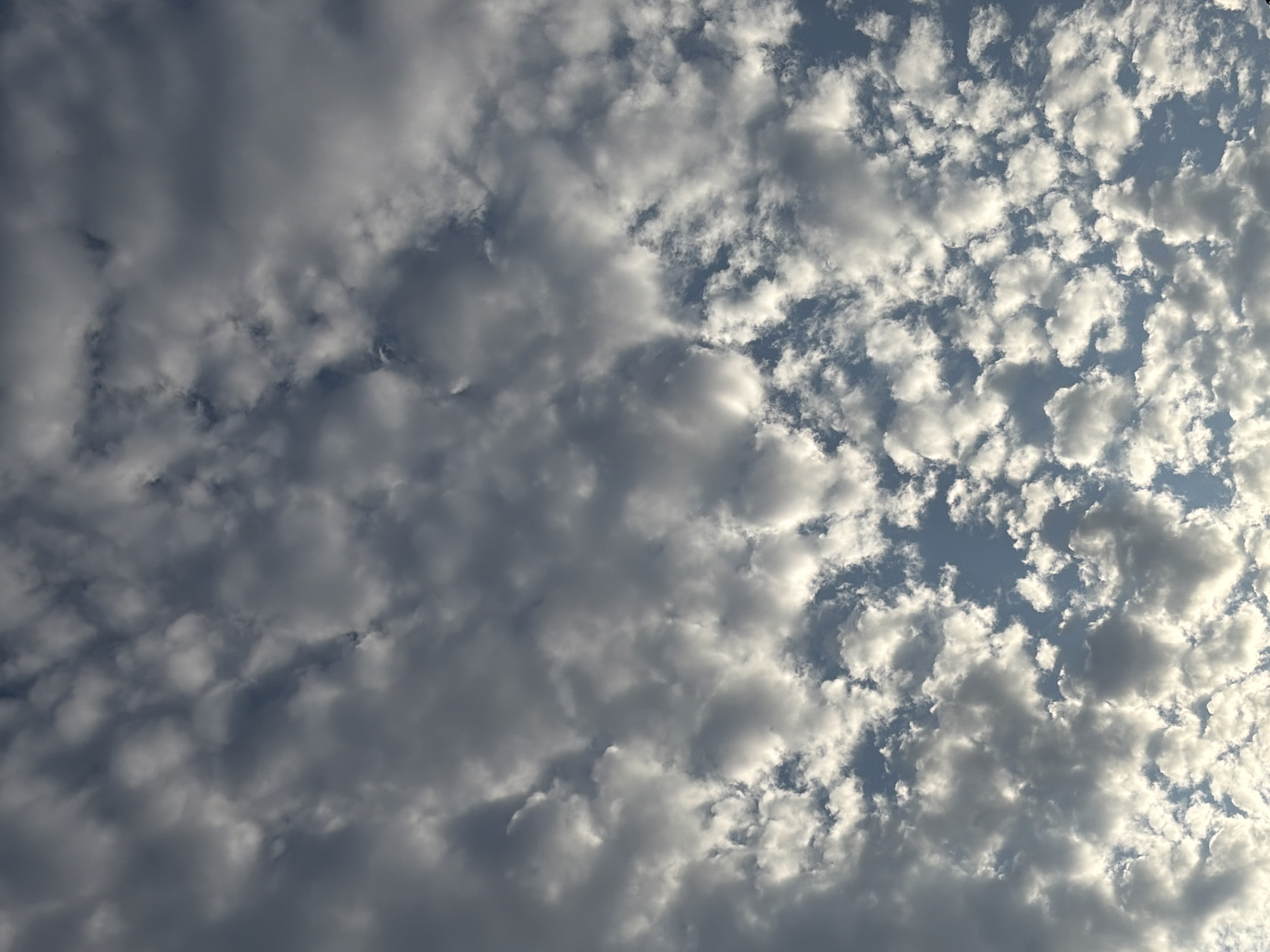 The image depicts a sky filled with scattered clouds. The clouds vary in density and color, with some appearing bright white and others a darker gray, suggesting varying levels of light penetration and thickness. The sky itself is a muted blue, indicating daylight conditions, likely overcast or partially cloudy. There are no visible structures, objects, people, or animals in the frame. The scene is a natural, atmospheric view of the sky. There is no information within the image to suggest its location in Oxentea, Moldova.