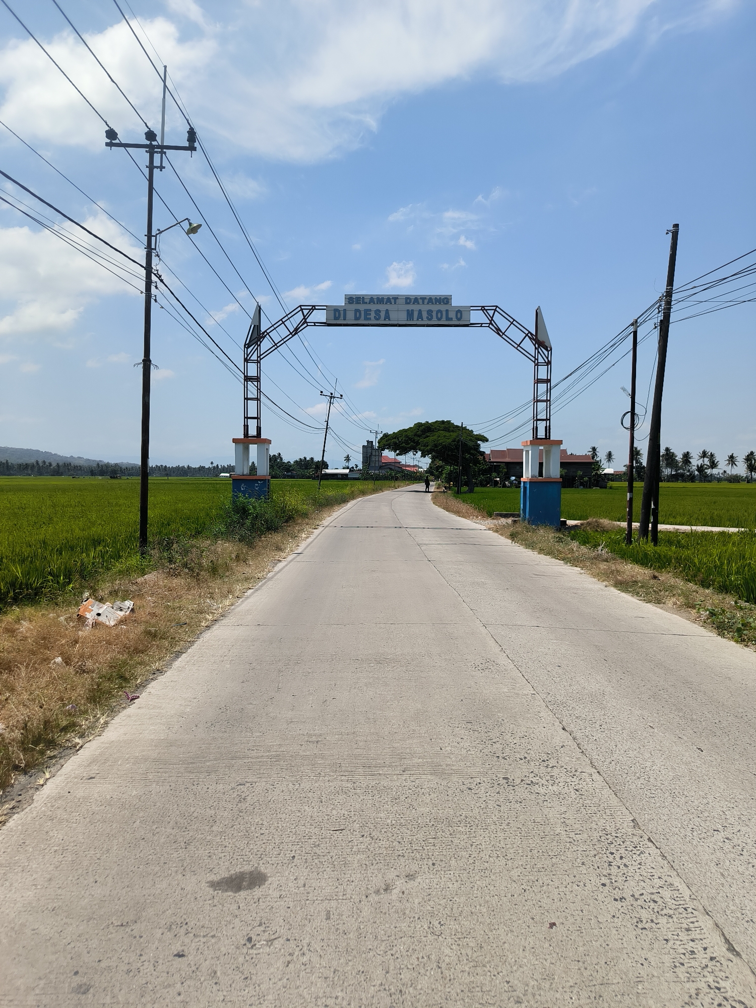 A paved road leads through a rural landscape under a bright blue sky with scattered white clouds. On either side of the road are vibrant green rice fields. A large archway spans the road, bearing the Indonesian text "SELAMAT DATANG DI DESA MASOLO", which translates to "WELCOME TO MASOLO VILLAGE". The archway is supported by two pillars, one on each side of the road, adorned with blue and white accents. Utility poles with numerous wires are visible on both sides of the road, and a streetlight is attached to one of them. In the distance, scattered houses and palm trees indicate the presence of a settlement. A single pedestrian can be seen walking on the road in the distance. The scene suggests a typical entrance to a village in a tropical agricultural region.