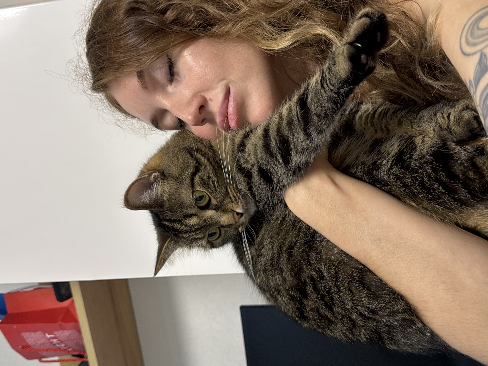 This image depicts a female individual holding a tabby cat in an indoor setting in the city of Chaikovsky, Russia. The female, positioned on the right side of the frame, has long, wavy light brown hair and a fair complexion. Her eyes are closed, and her head is tilted towards the cat, suggesting physical closeness. A small nose piercing is visible on her left nostril. Her left arm supports the cat, and a tattoo with curvilinear designs is partially visible on her upper left arm. The tabby cat, with green eyes and brown and black striped fur, is held against the female's chest. Its head is turned towards the lower left of the frame, with its gaze directed away from the female. Its left paw is extended, showing black paw pads. In the background on the left, a light-colored wooden shelf is visible, upon which a red gift bag displaying the word "LIGHT" in white lettering is placed. A dark object is partially visible below the shelf. The walls are plain white.