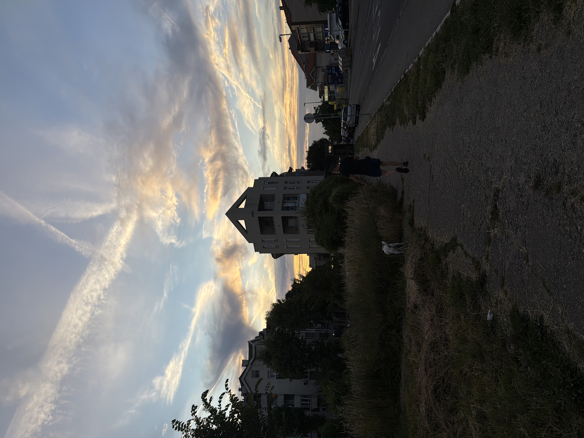 The image depicts an urban street scene during sunset, located in the Cukarica Urban Municipality, Serbia. In the foreground, a gravel pedestrian path occupies the lower center and right, bordered by an unkempt strip of dry grass and weeds on the left. An adult male, seen from behind in silhouette, walks away from the camera on this path, wearing a dark t-shirt and dark shorts. He holds a leash in his left hand, connected to a medium-sized white dog, also in silhouette, walking ahead of him and slightly to his left.
In the midground, a paved road runs parallel to the path on the right, with multiple parked cars lining its side. A circular road sign stands between the path and the road. On the left midground, several multi-story residential buildings with balconies are partially obscured by a dense line of trees. In the center midground, a distinct modern building with a prominent, angular, triangular roofline is visible, appearing to be an apartment or mixed-use building.
The background on the right side of the road reveals additional residential and commercial structures, including one with "SKOLSKA SCHOOL" partially legible on its facade. Streetlights and utility poles are also visible along the road.
The sky, occupying the upper portion of the image, displays warm sunset hues of orange, yellow, and grey clouds near the horizon, transitioning to a light blue overhead. Several distinct white contrails from aircraft are present, including one long trail extending diagonally from the upper left and another forming a partial 'X' shape in the upper right quadrant. The overall lighting casts the foreground and midground in shadow, silhouetting the man and dog against the brighter sky.