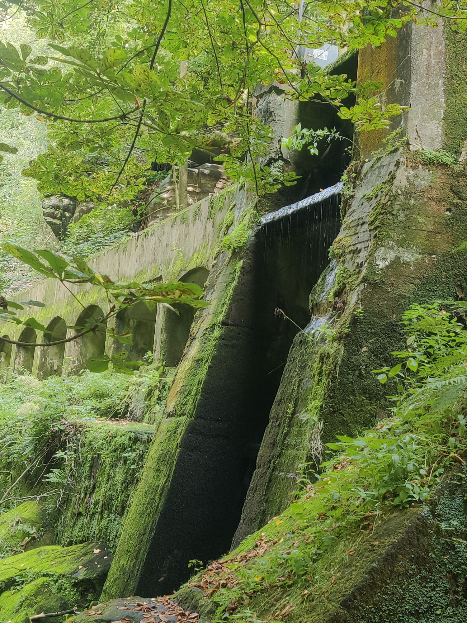 The image captures a scene in the city of Lohmen, Germany, depicting a naturalistic cascade of water flowing over a rugged, moss-covered rock face. In the foreground, lush green vegetation, including leaves and branches, drapes over the scene, suggesting an overgrown and wild environment. A weathered stone structure, possibly an old dam or aqueduct, is visible on the left side of the image, characterized by a series of arched openings and overgrown moss. The water descends from an upper level, creating a thin veil that flows down the dark, textured rock. The overall impression is one of nature reclaiming an ancient man-made structure, set within a forest or park-like landscape.