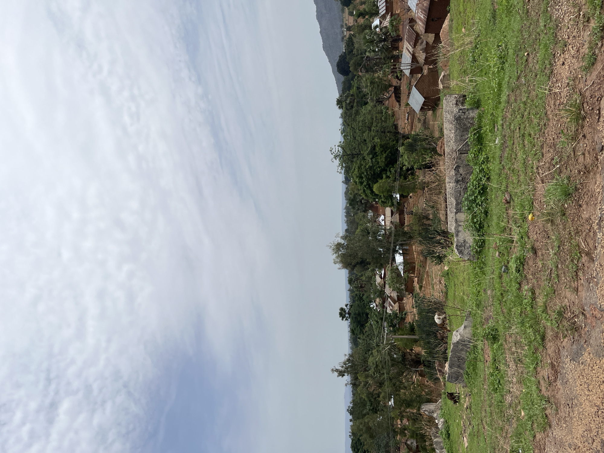 The scene depicts an elevated perspective of a residential area in Otokutu, Nigeria, under a sky with cloudy conditions. The environment is characterized by a mix of natural and built elements. Structures with corrugated iron roofs are present amongst trees. Vegetation, including grasses and shrubs, cover the foreground. The terrain slopes downward from the immediate foreground towards the residential area, and a small hill or mountain is visible in the distance.