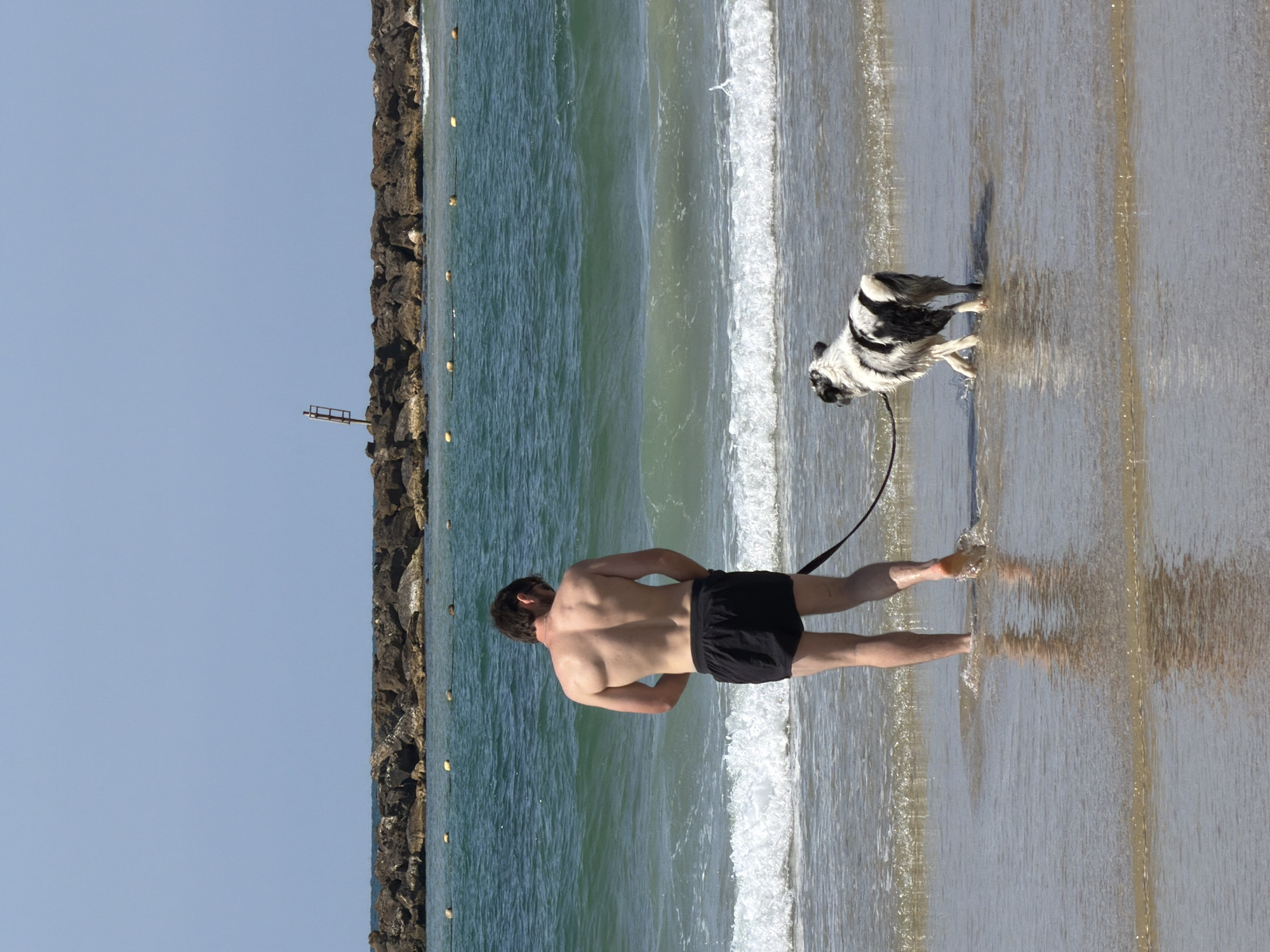 A man and a dog walk on the beach in Tel Aviv, Israel. The man is shirtless, wearing black swim trunks. He is walking parallel to a rock wall running along the beach and is holding a leash attached to a black-and-white dog. The dog is wet. The water is clear with a thin layer of white foam from the waves. The sky is clear and blue.