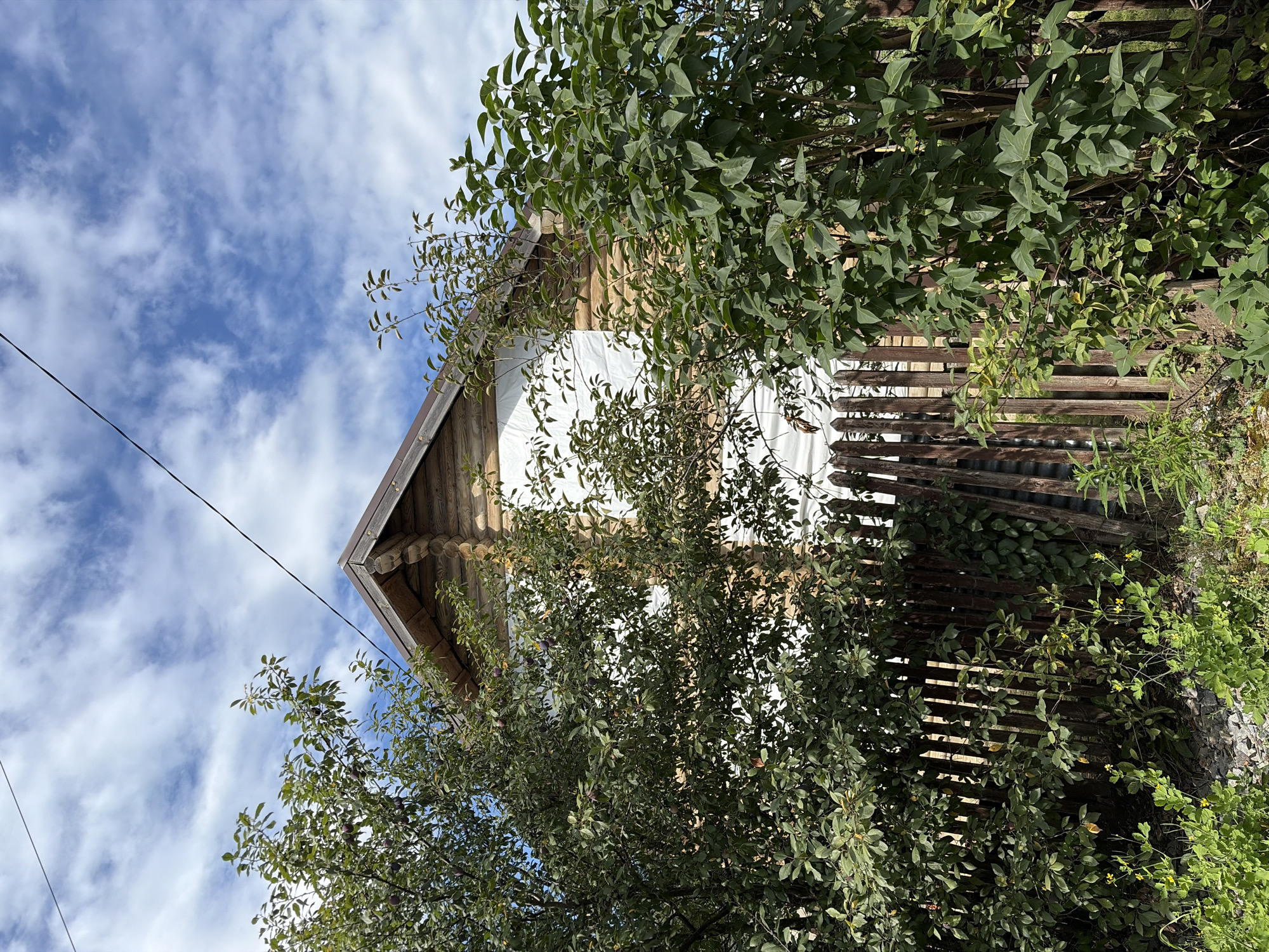 The image depicts a wooden house with a gabled roof, partially obscured by lush green foliage from trees and bushes in the foreground. The house appears to be constructed from logs, with white sheeting covering a section of its facade. A weathered wooden fence runs horizontally across the lower portion of the frame, separating the house from the vegetation. The sky above is a vibrant blue, dotted with fluffy white clouds. A thin black wire stretches diagonally across the upper part of the image. The scene is set in a natural, possibly rural, environment, consistent with the location of Нерудник Снт, Russia. No people are visible in the image, and the overall impression is one of a quiet, residential setting.