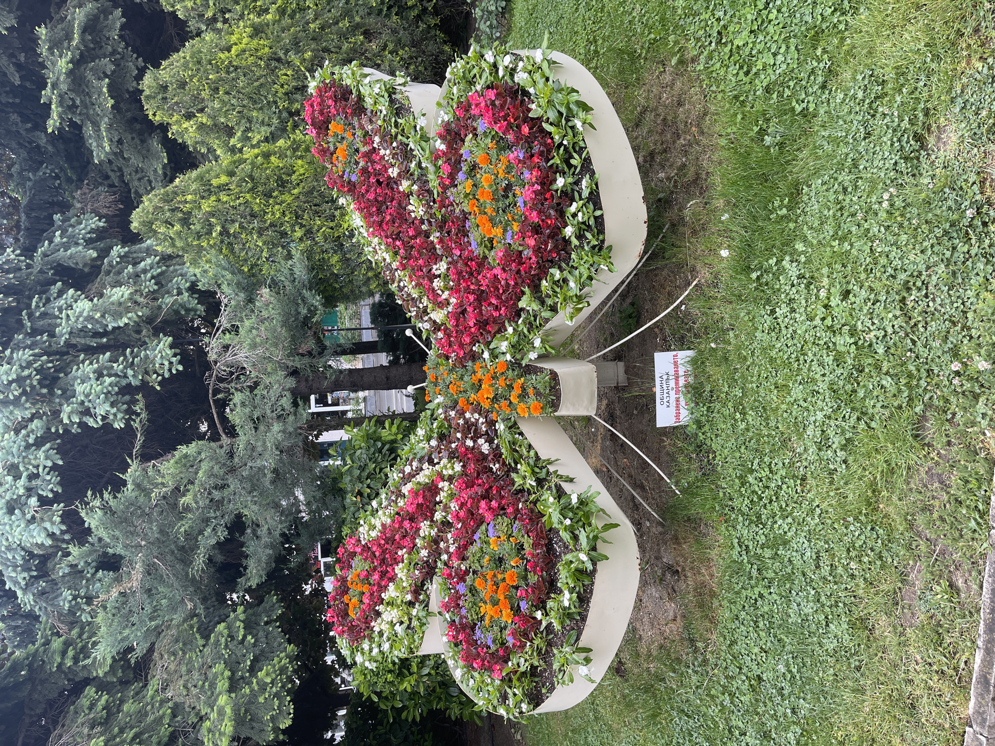 A butterfly-shaped flowerbed filled with colorful flowers sits on a lawn in Kazanlak, Bulgaria. The flowerbed is constructed of white curved containers forming the wings and body of the butterfly, filled with a variety of flowers in shades of red, orange, white, and purple. A small sign stands nearby, its text visible but illegible. The scene is set outdoors, with various trees and greenery providing a backdrop. The lawn is a mix of grass and clover. The photograph is taken in daylight, offering a clear view of the flowerbed and its surroundings.