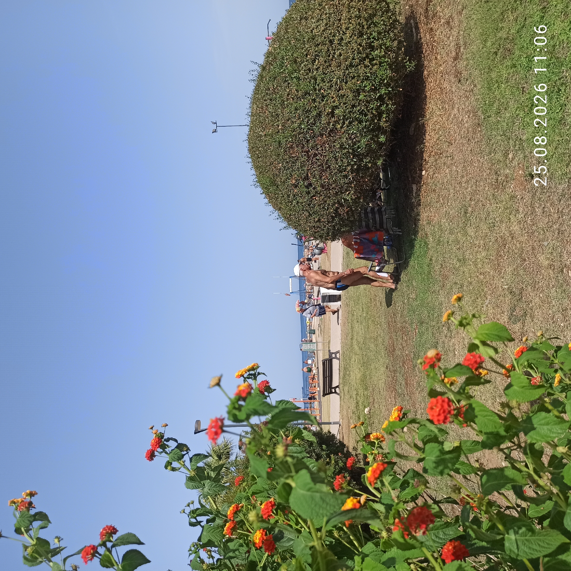 The image depicts a sunny outdoor scene, likely in Bari, Italy, given the context of summer leisure. In the foreground, a flowering plant with red and yellow blossoms is prominently displayed. Beyond the plant, a grassy area leads to a paved walkway. On the walkway, two men are visible. One man, wearing a white cap and blue swim trunks, stands near a colorful beach chair. Another man, wearing a striped shirt and shorts, walks further down the path. In the background, the sea is visible with a few boats. The overall atmosphere suggests a relaxed day at the beach or a park adjacent to the coast. The date and time stamp "25.08.2026 11:06" is superimposed on the image.