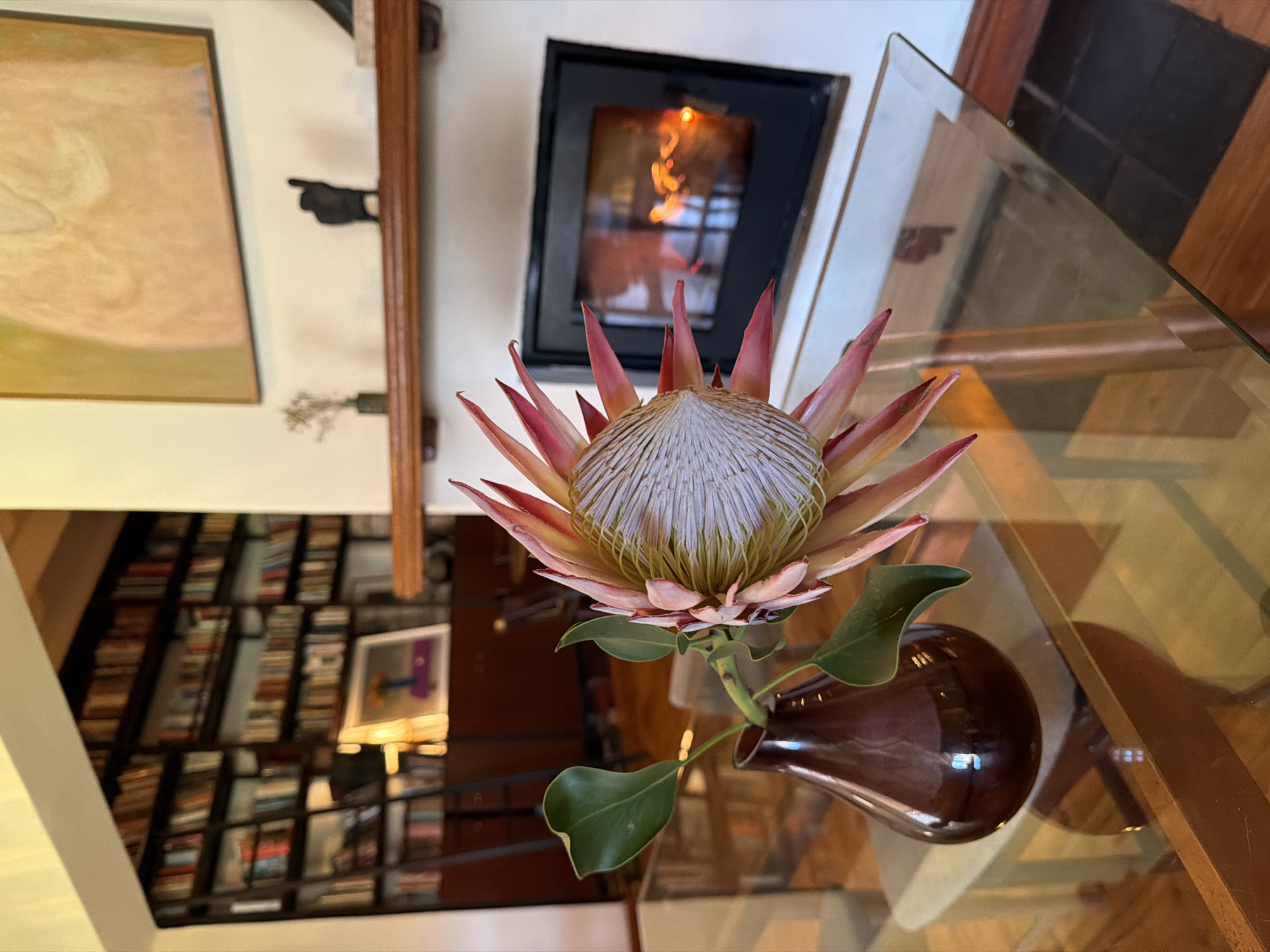An interior scene captures a large, exotic flower with pink and white petals in the foreground, placed in a dark, glossy vase on a glass-topped table. Behind the flower, a modern fireplace with a glowing fire is visible, set into a white wall above a wooden mantelpiece. The mantelpiece displays a small sculpture and a delicate dried plant in a tiny vase. To the left, a wall of bookshelves filled with numerous books stretches across the background, suggesting a library or study area. The room features wooden floors and furniture, creating a warm and inviting atmosphere. The image appears to be taken within a residential setting.